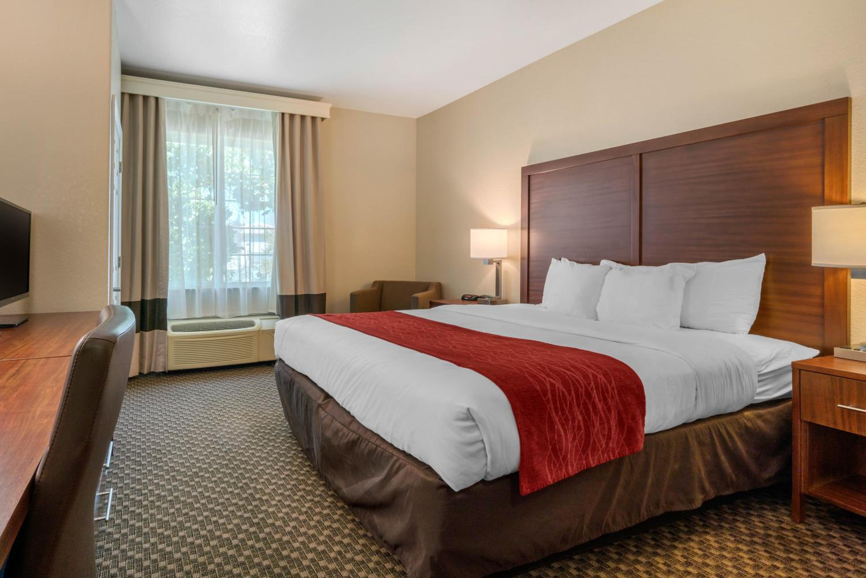 King Room - Non-Smoking - Photo 1