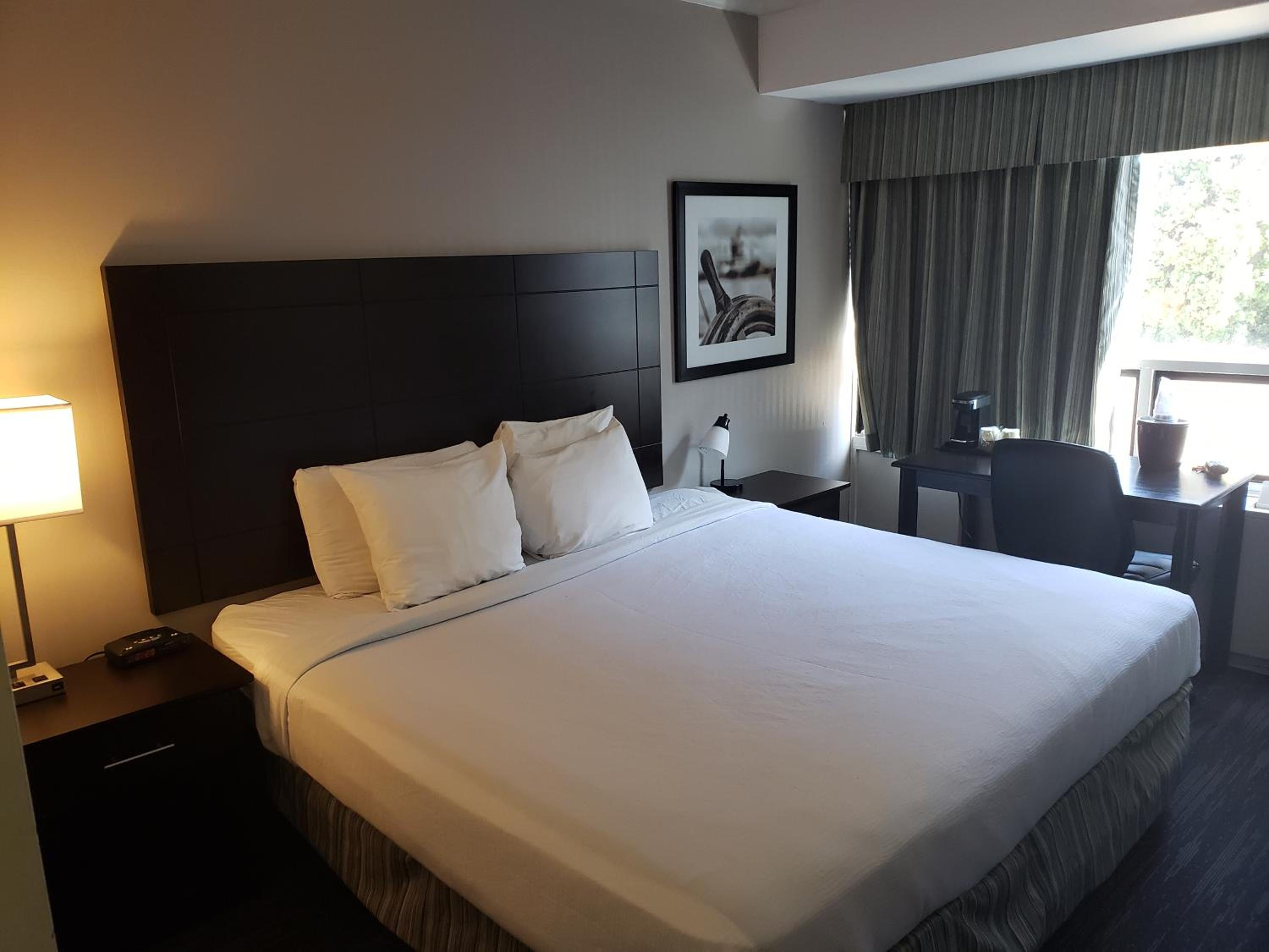 King Room - Non-Smoking - Photo 6