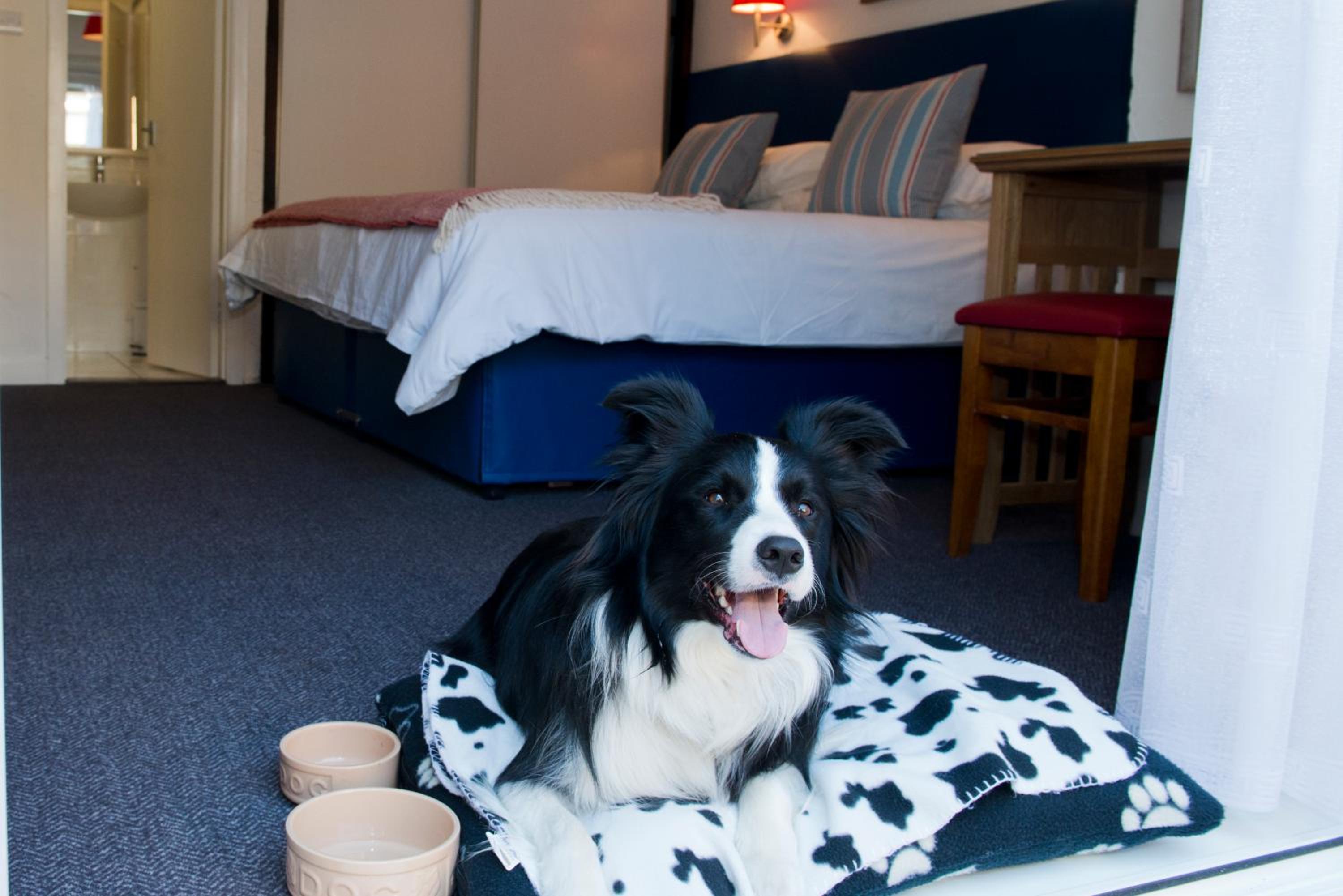 Classic Twin Room with Terrace photo 3