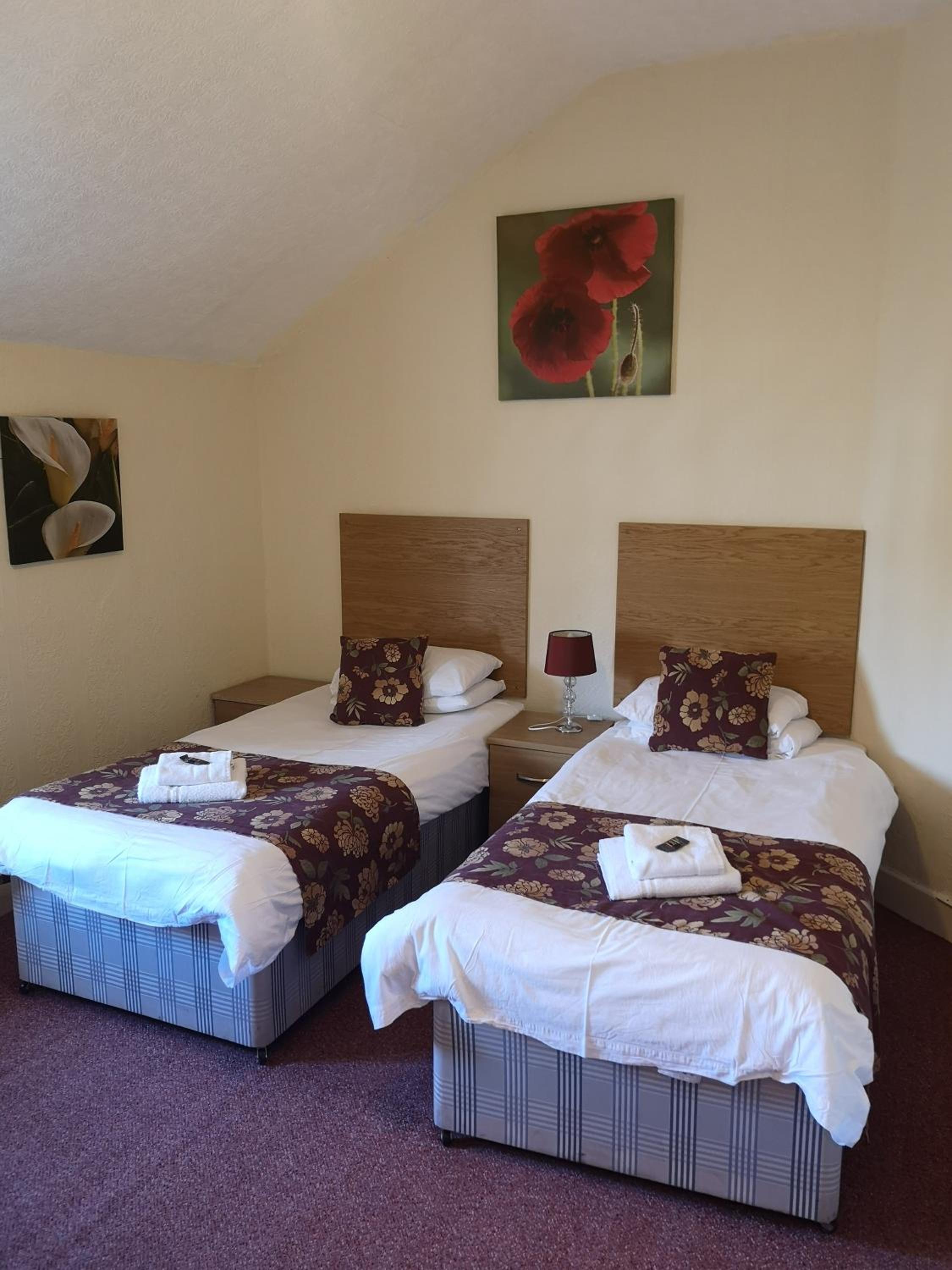 Twin Room photo 2