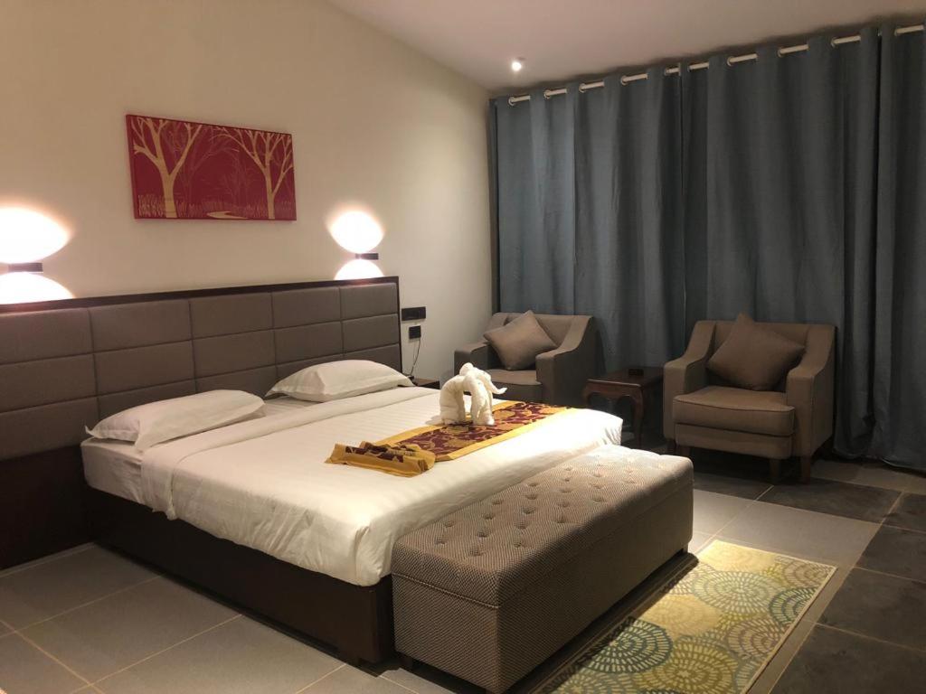 Deluxe Double Room - Photo 1