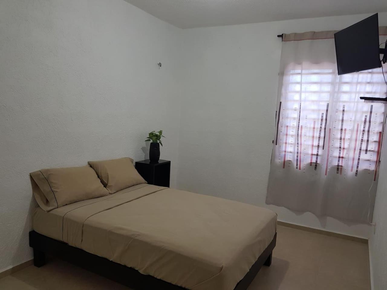 Two-Bedroom House photo 3