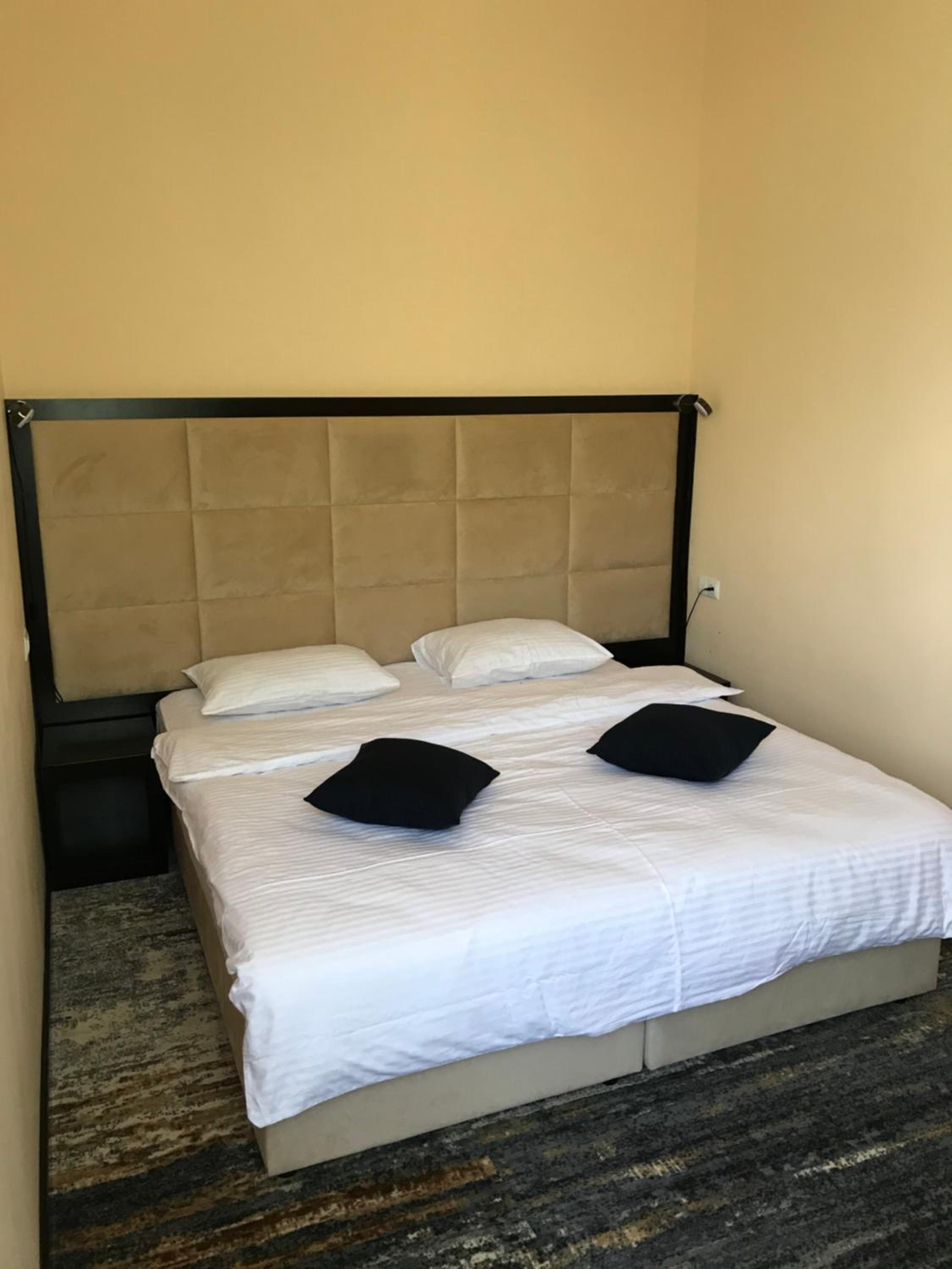 Superior Double or Twin Room photo 1
