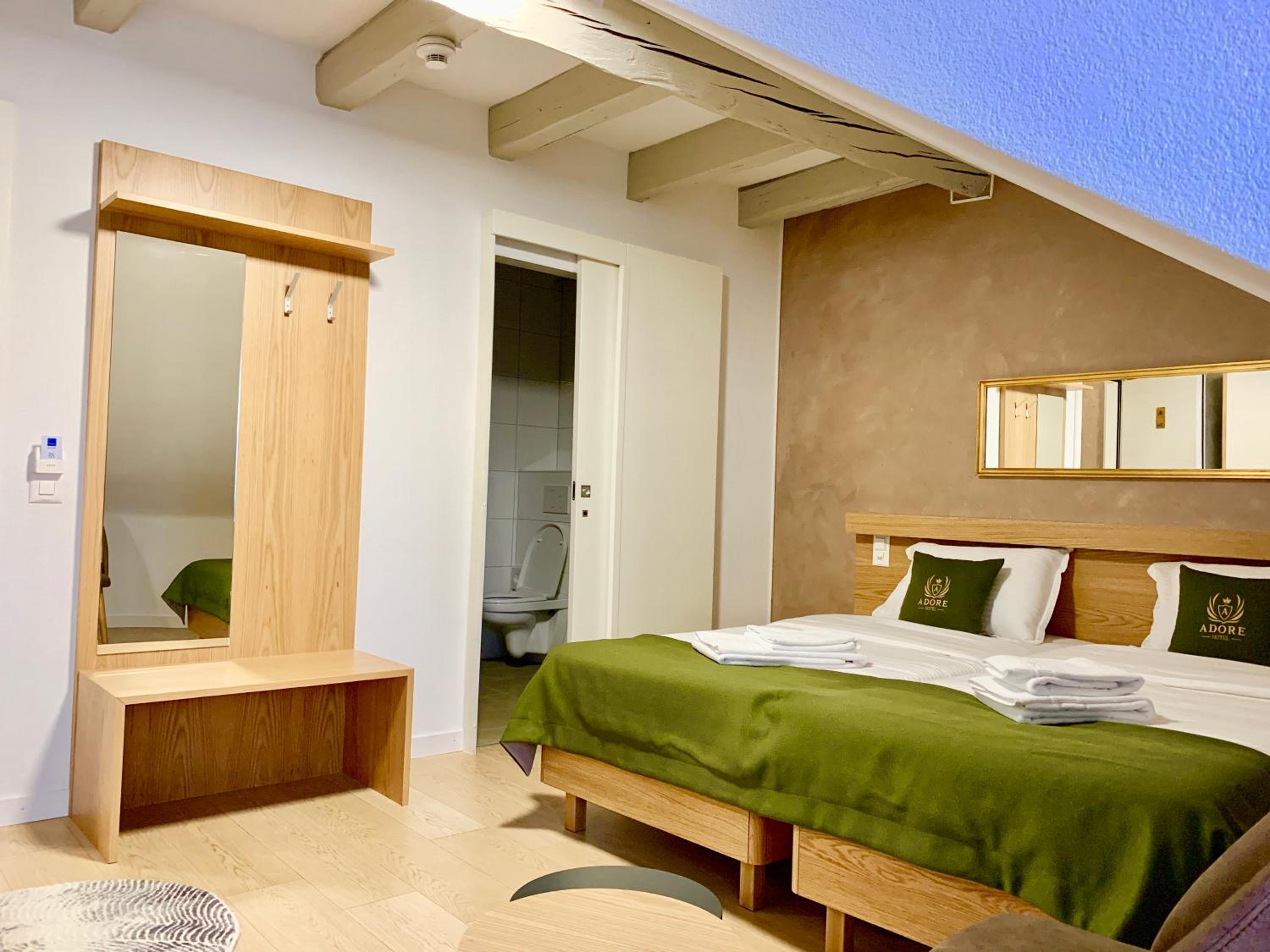 Deluxe Double Room photo 2