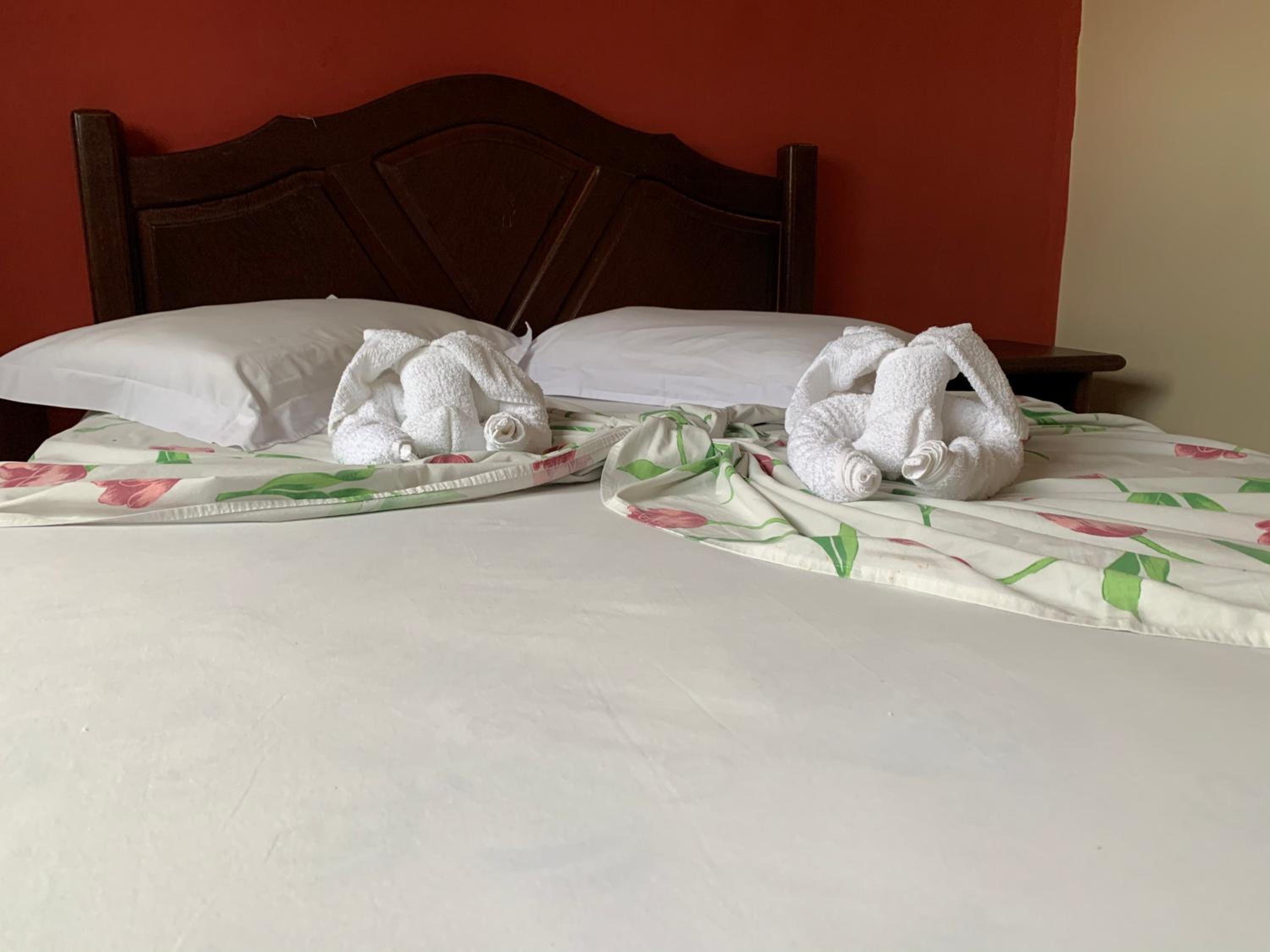 Superior Double Room photo 3