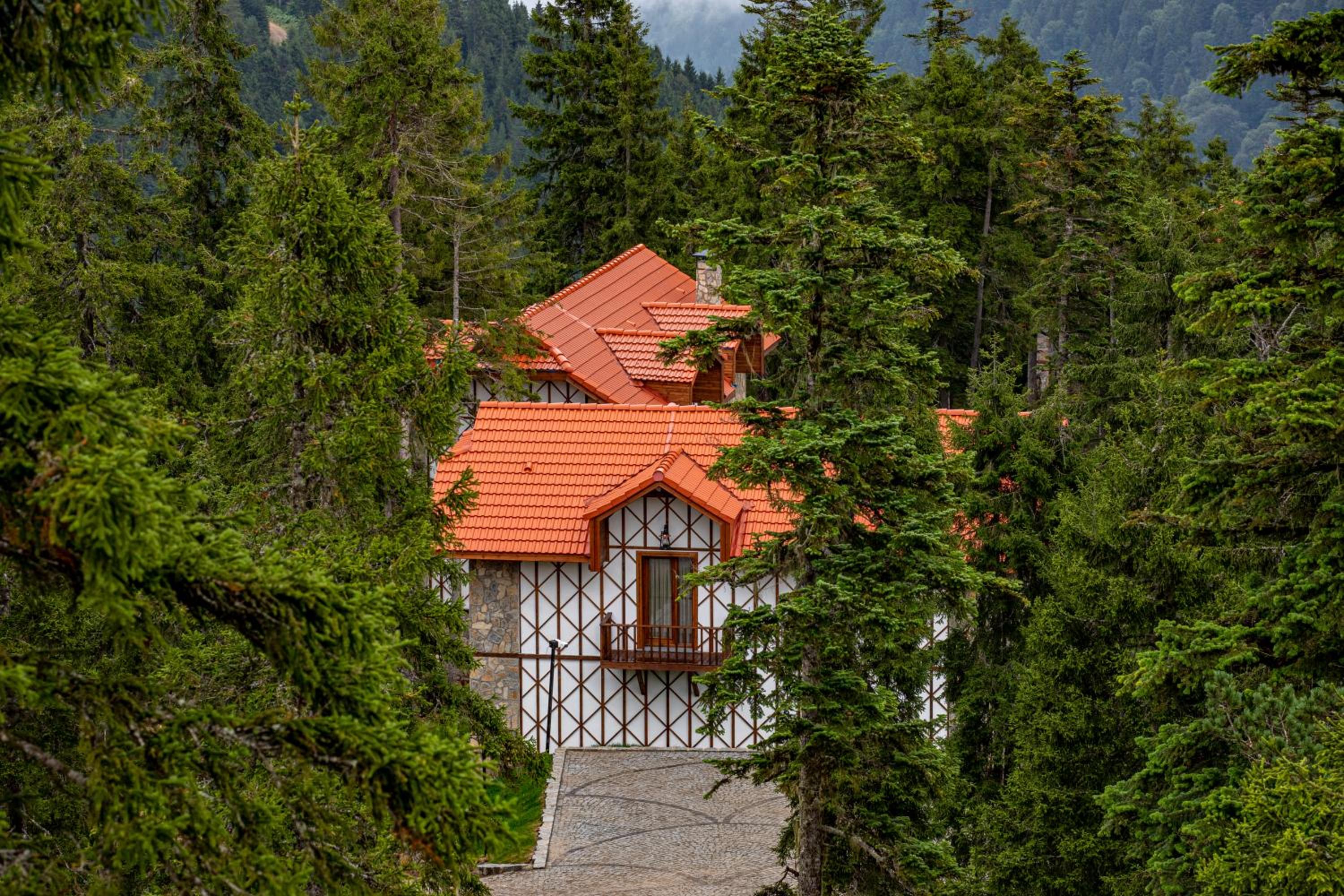 Superior Villa photo 3