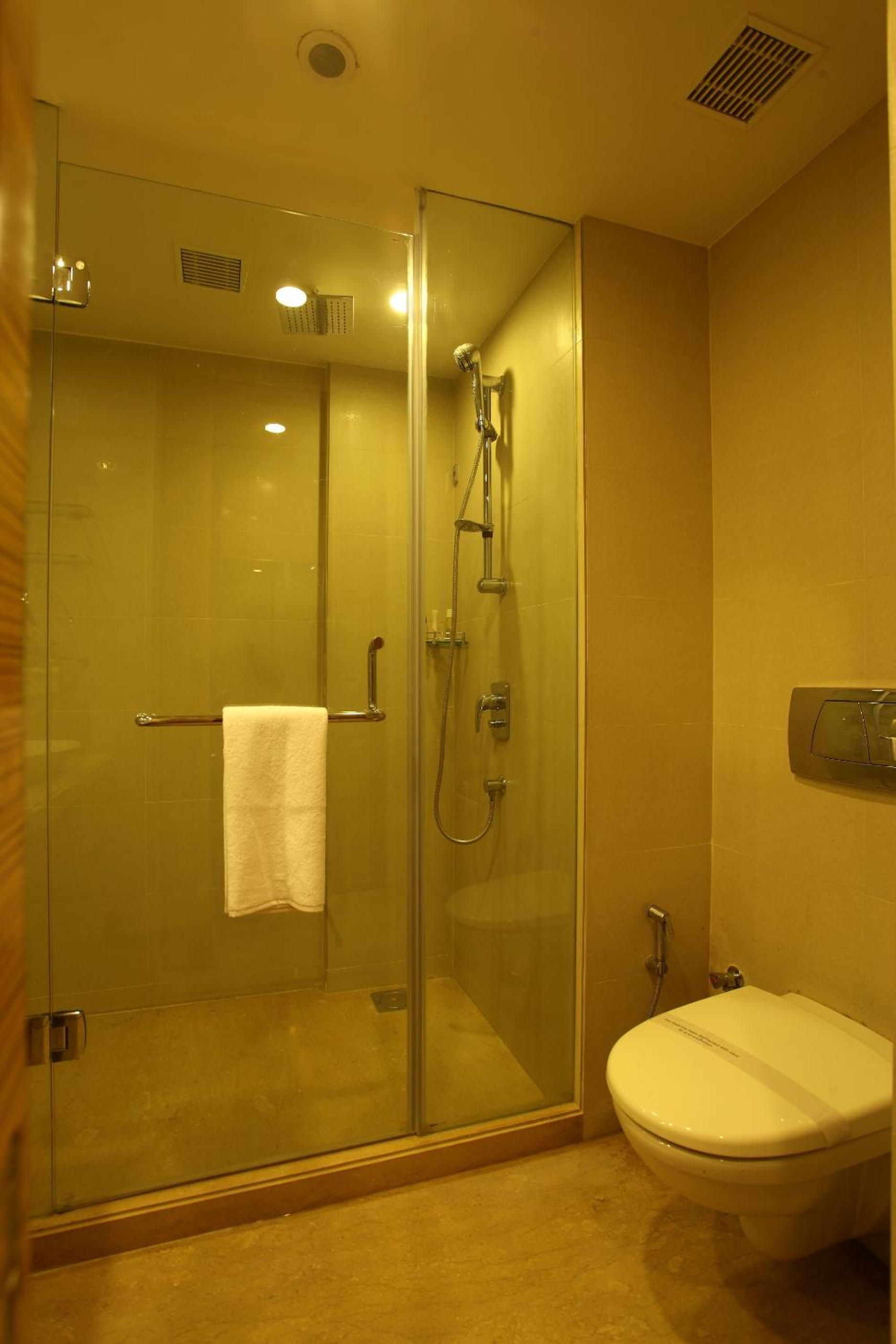 Deluxe Double Room photo 3