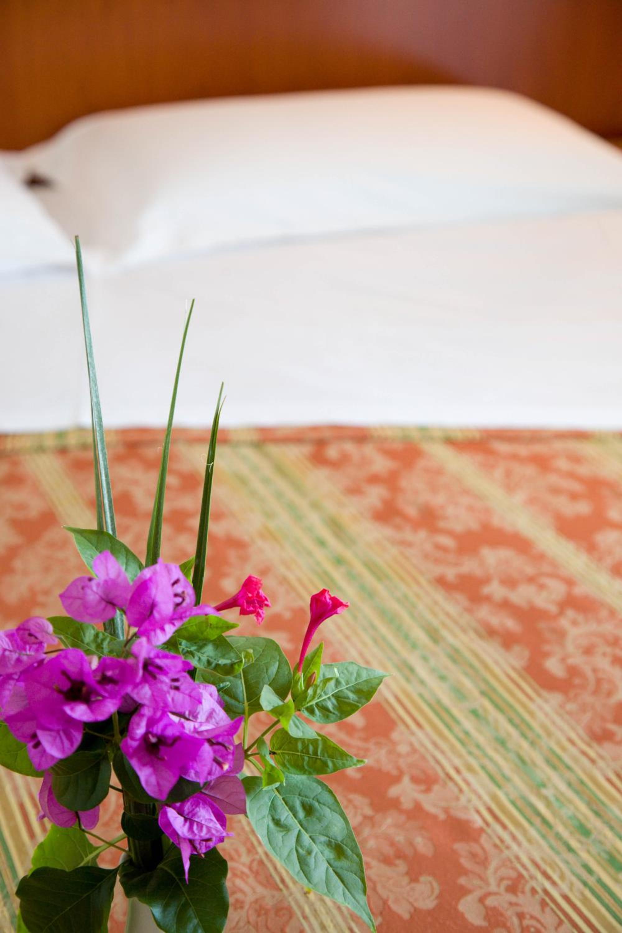 Double or Twin Room with Balcony photo 3