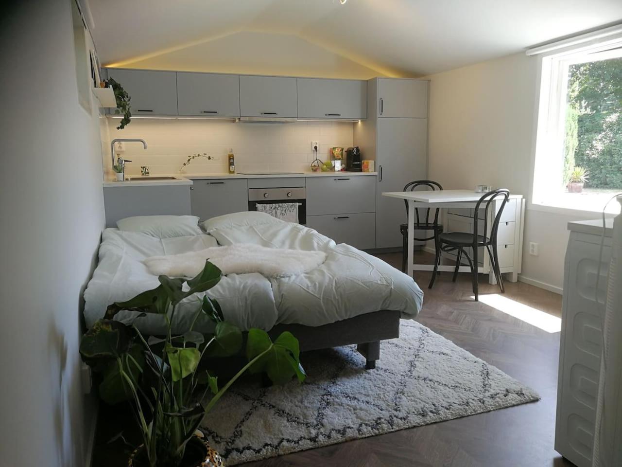 One-Bedroom House photo 1