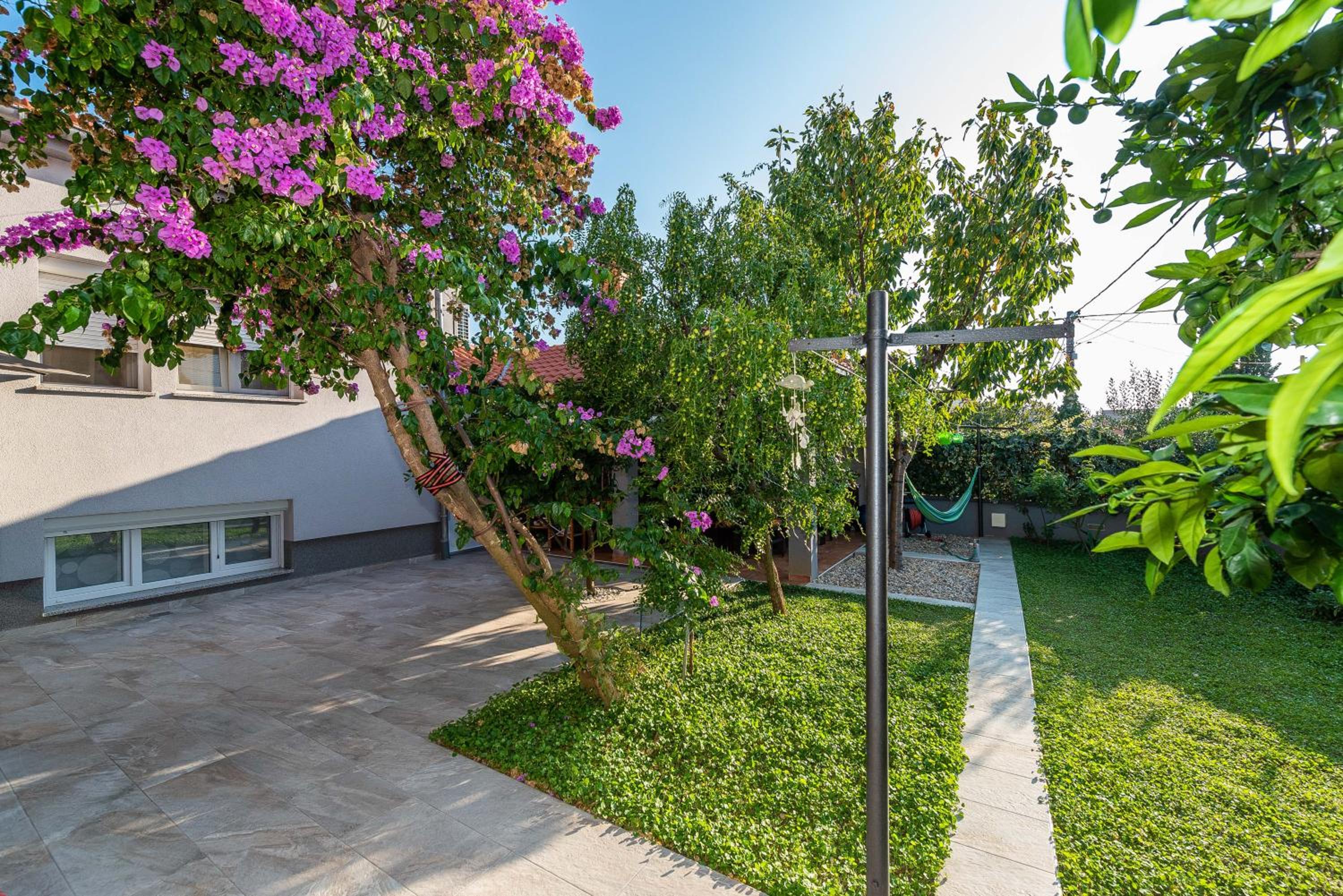 Studio with Patio photo 3