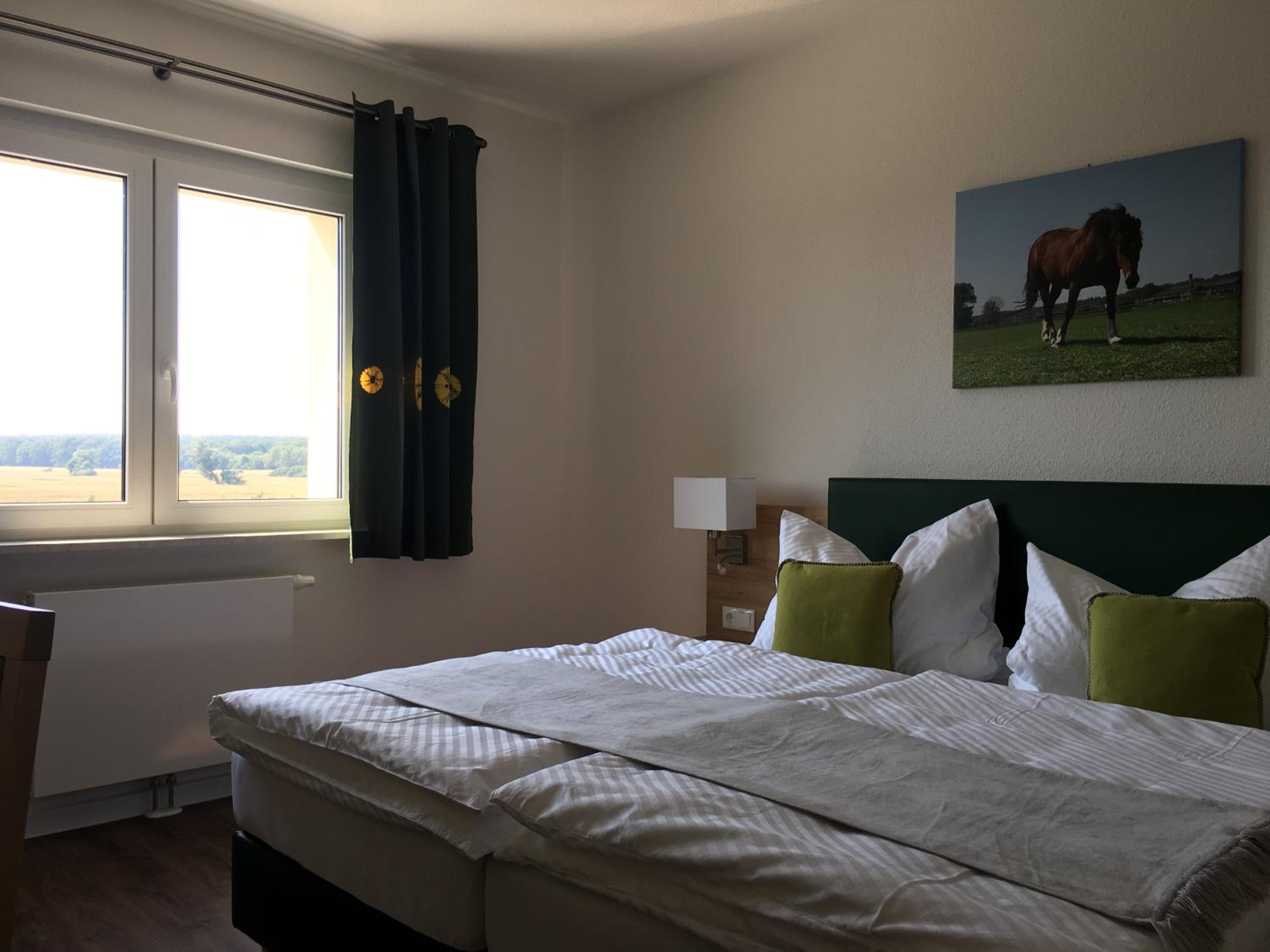 Deluxe Double Room photo 2