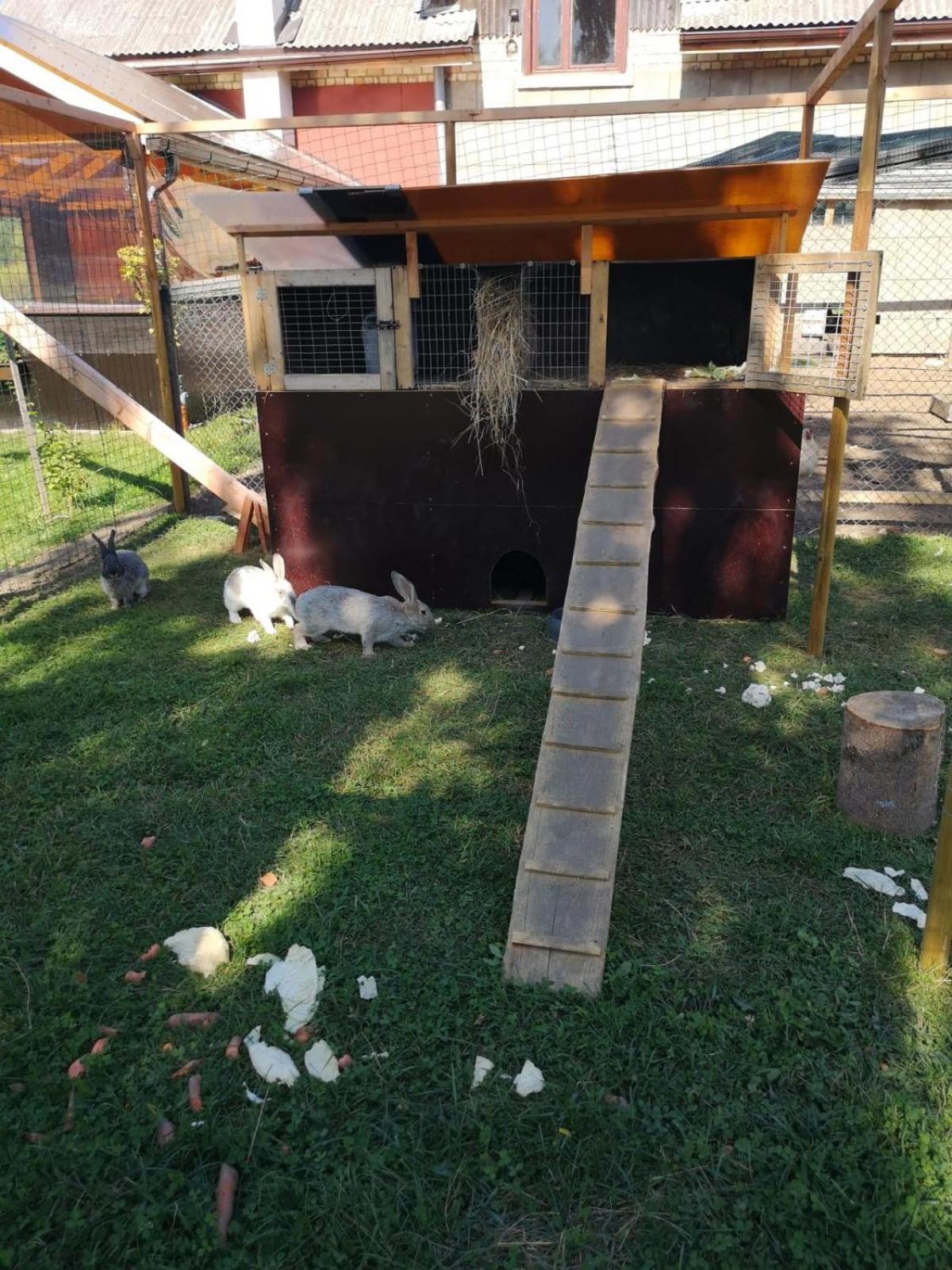 Vacation Home - Photo 42