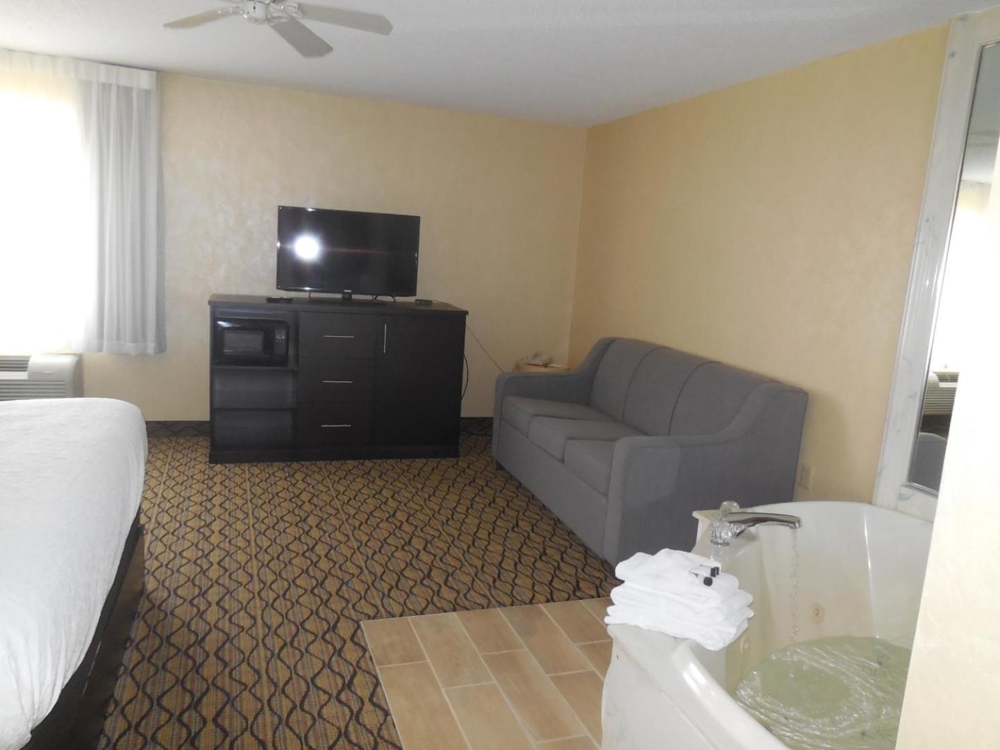 Deluxe King Studio Suite - Non-Smoking - Photo 5