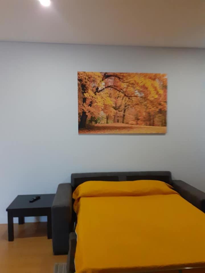 One-Bedroom Apartment - Photo 10