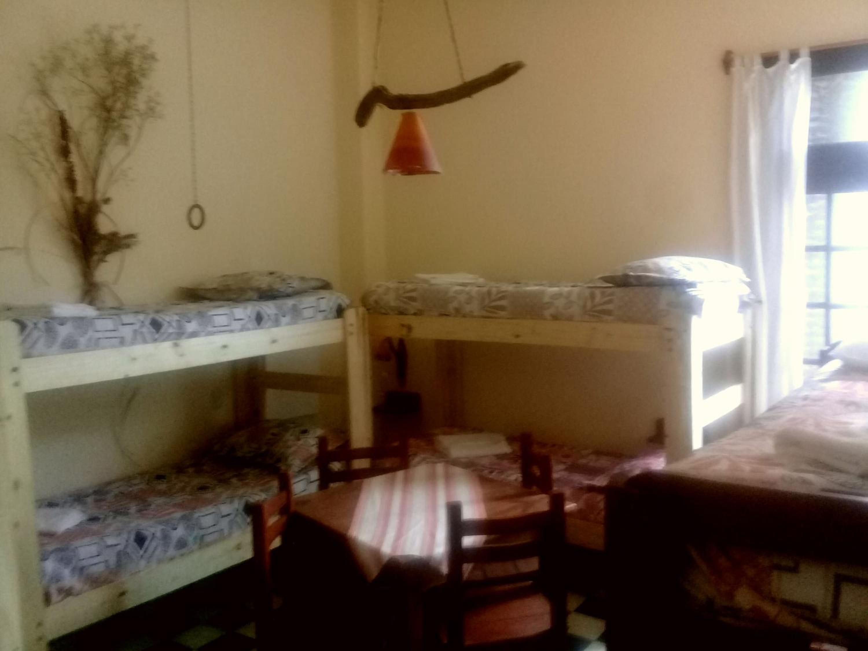 Standard Family Room photo 1