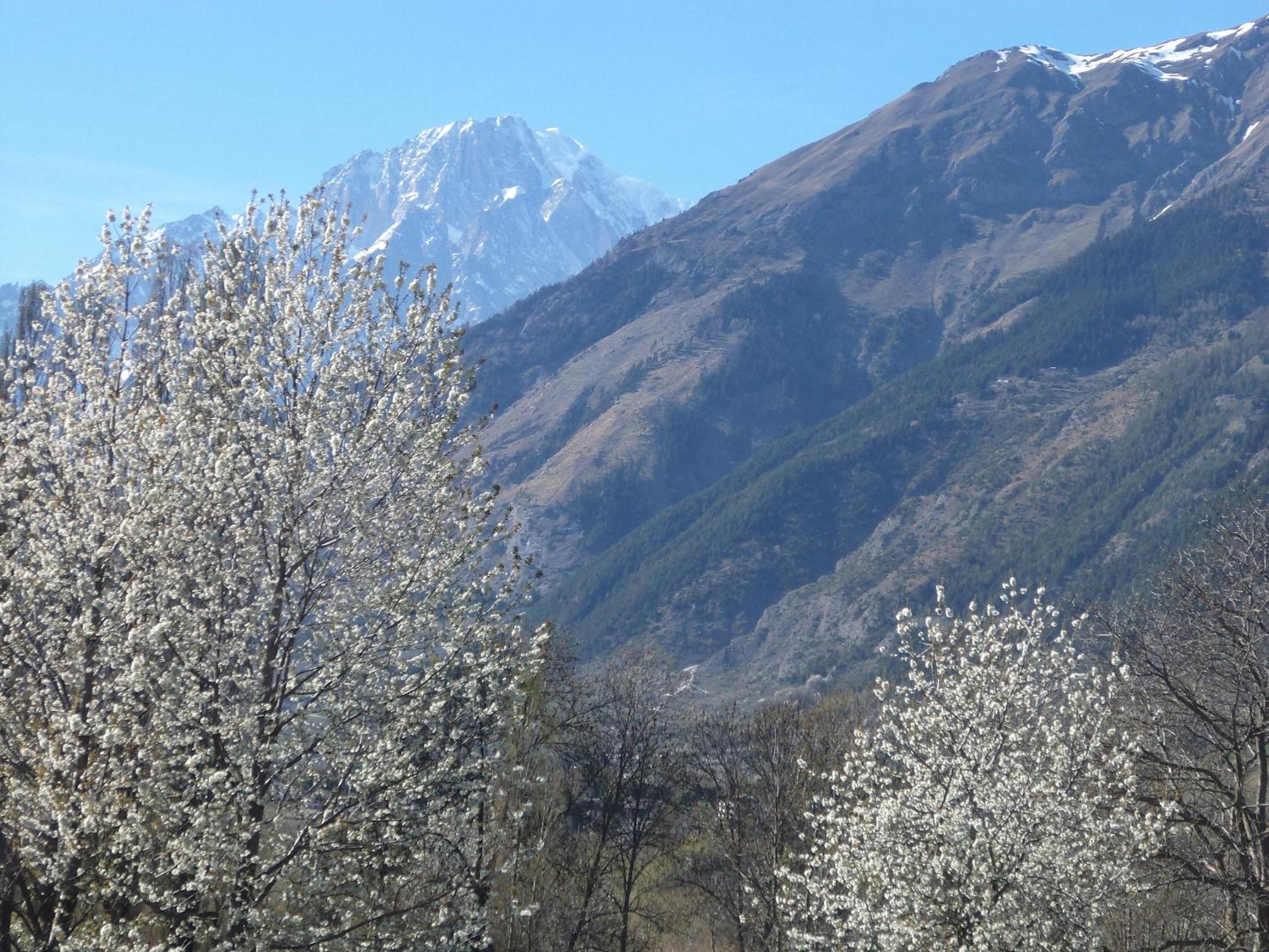 Standard Single Room with Mountain View photo 3
