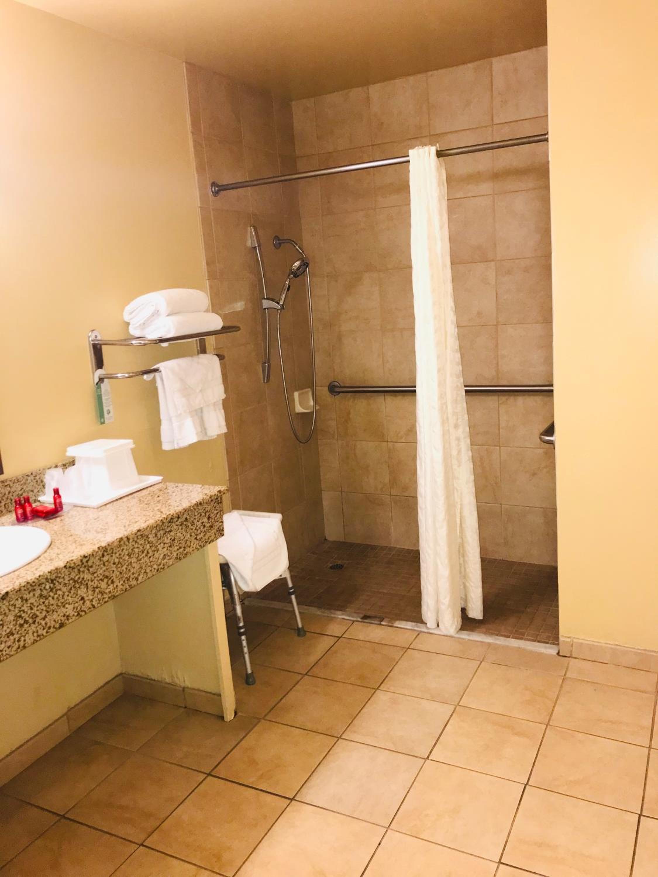 King Room with Roll-In Shower - Disability Access