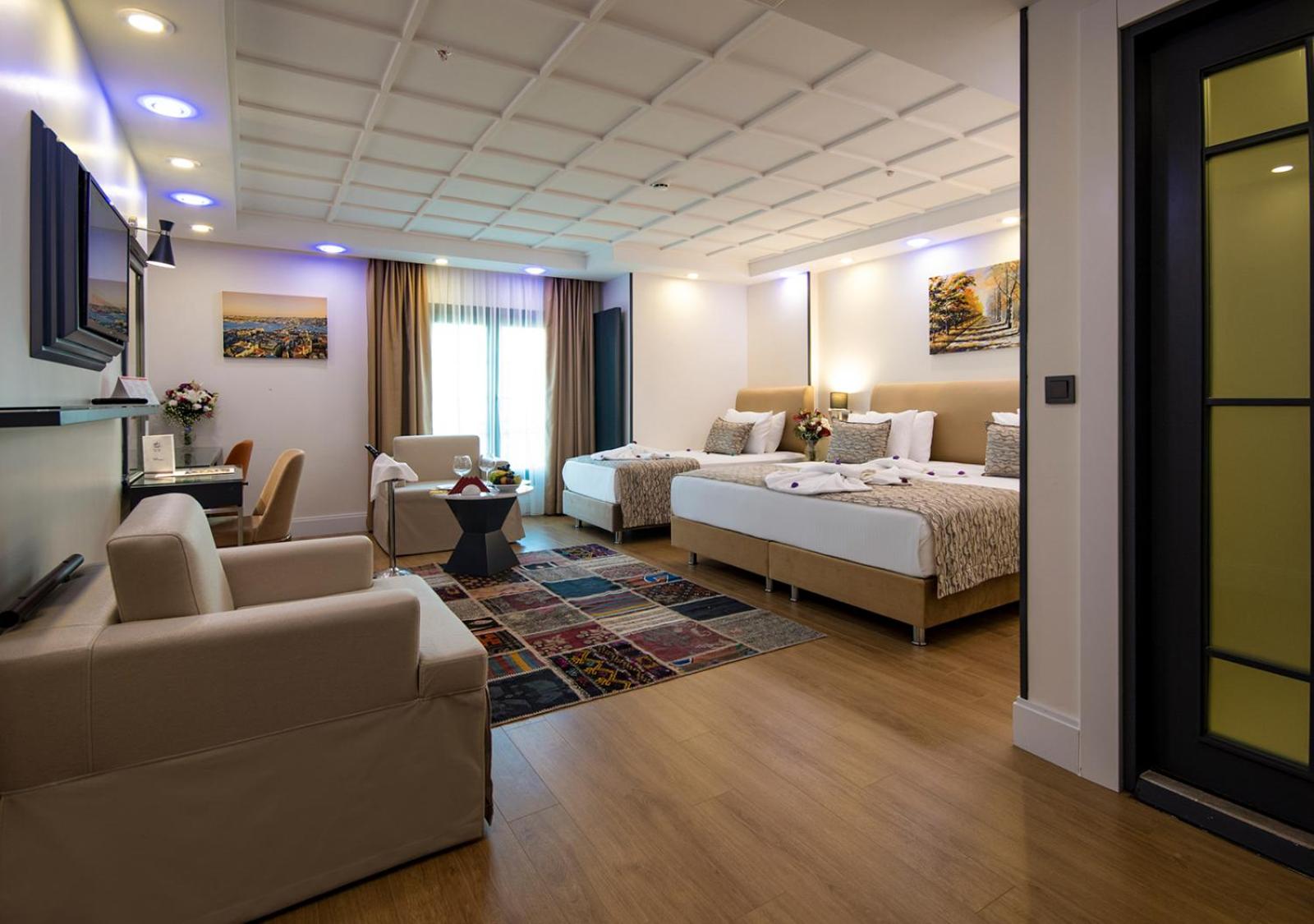 Family Room with sofa bed