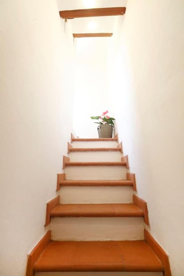 One-Bedroom House - Photo 14