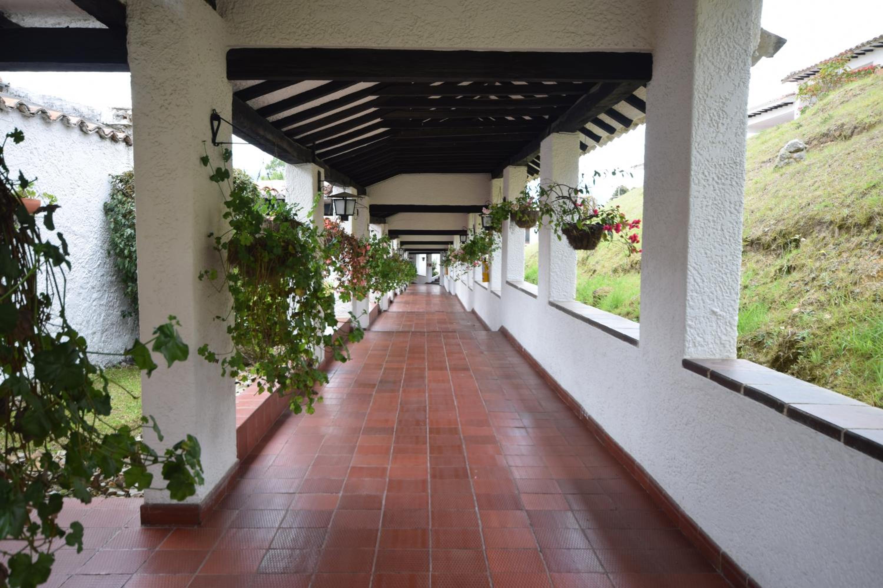 Bungalow photo 3