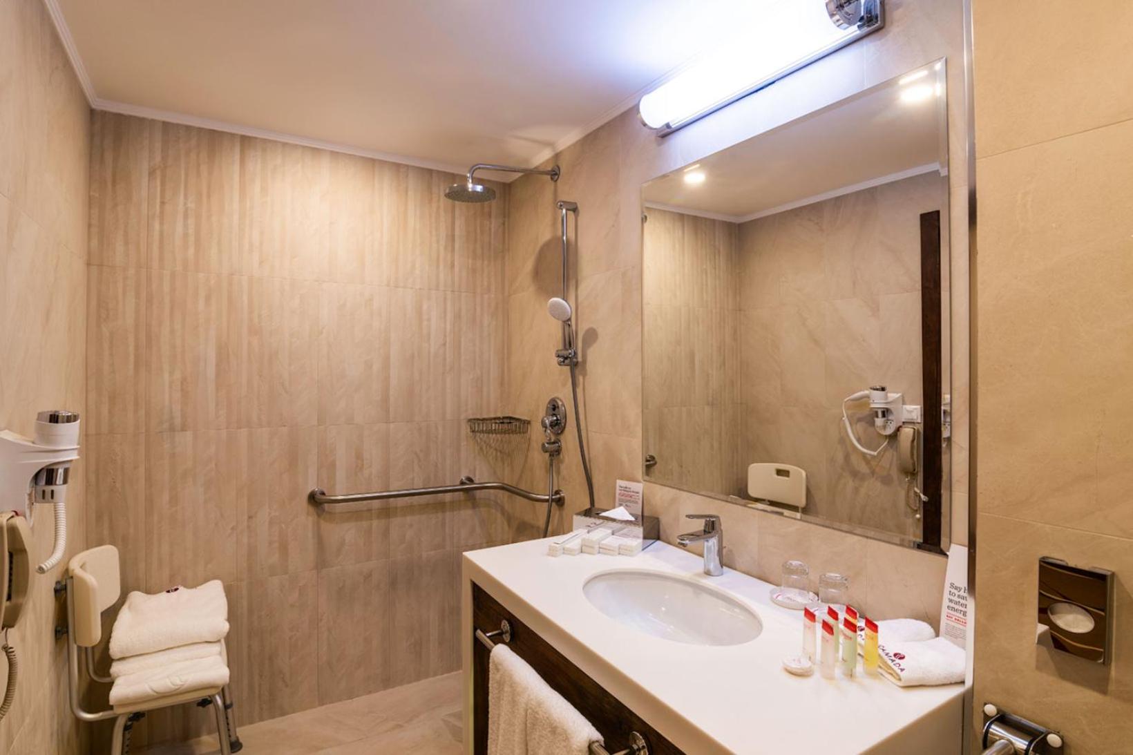 King Mobility Accessible Room photo 3