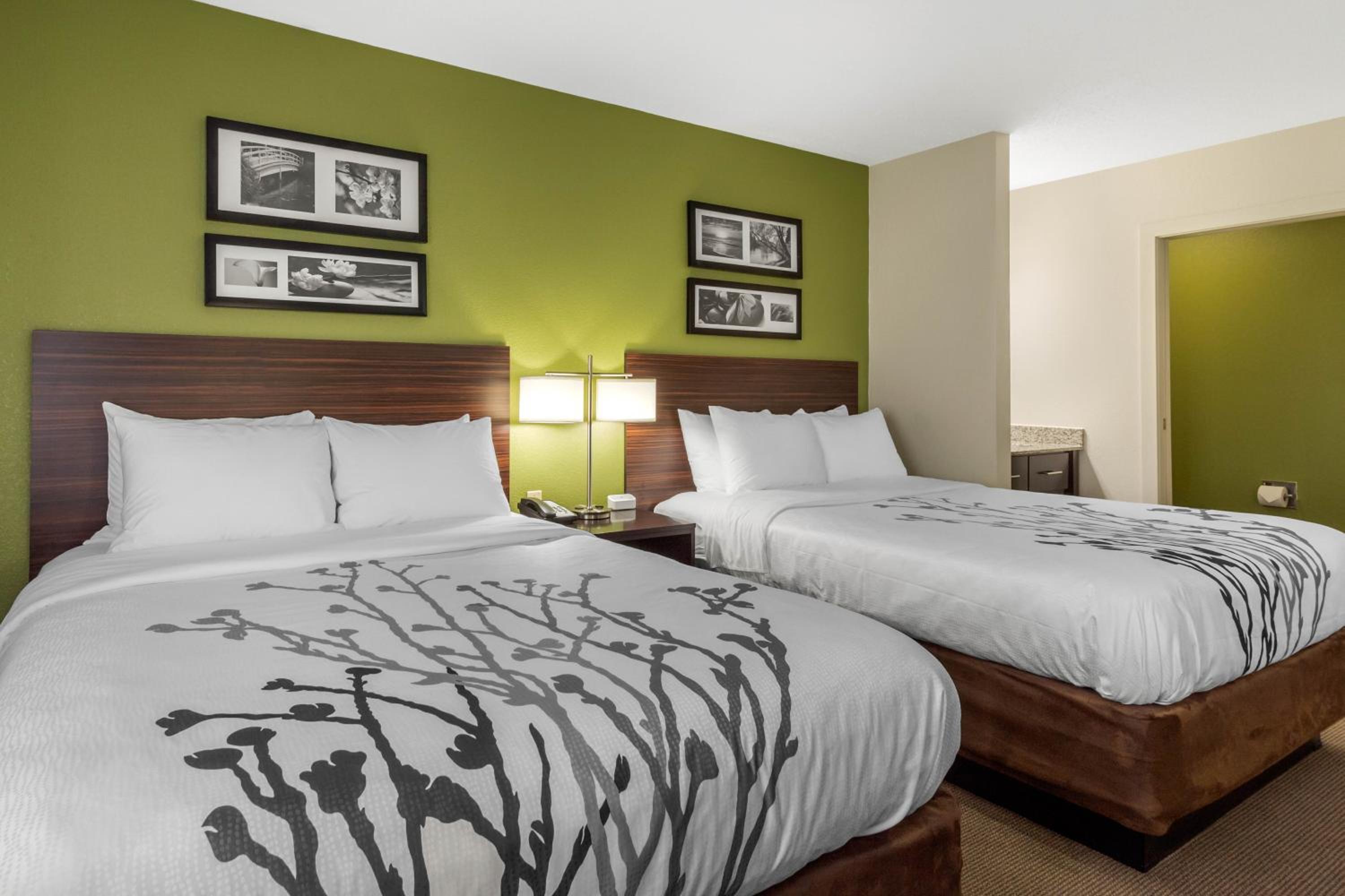 Queen Room with Two Queen Beds - Non-Smoking - Photo 4