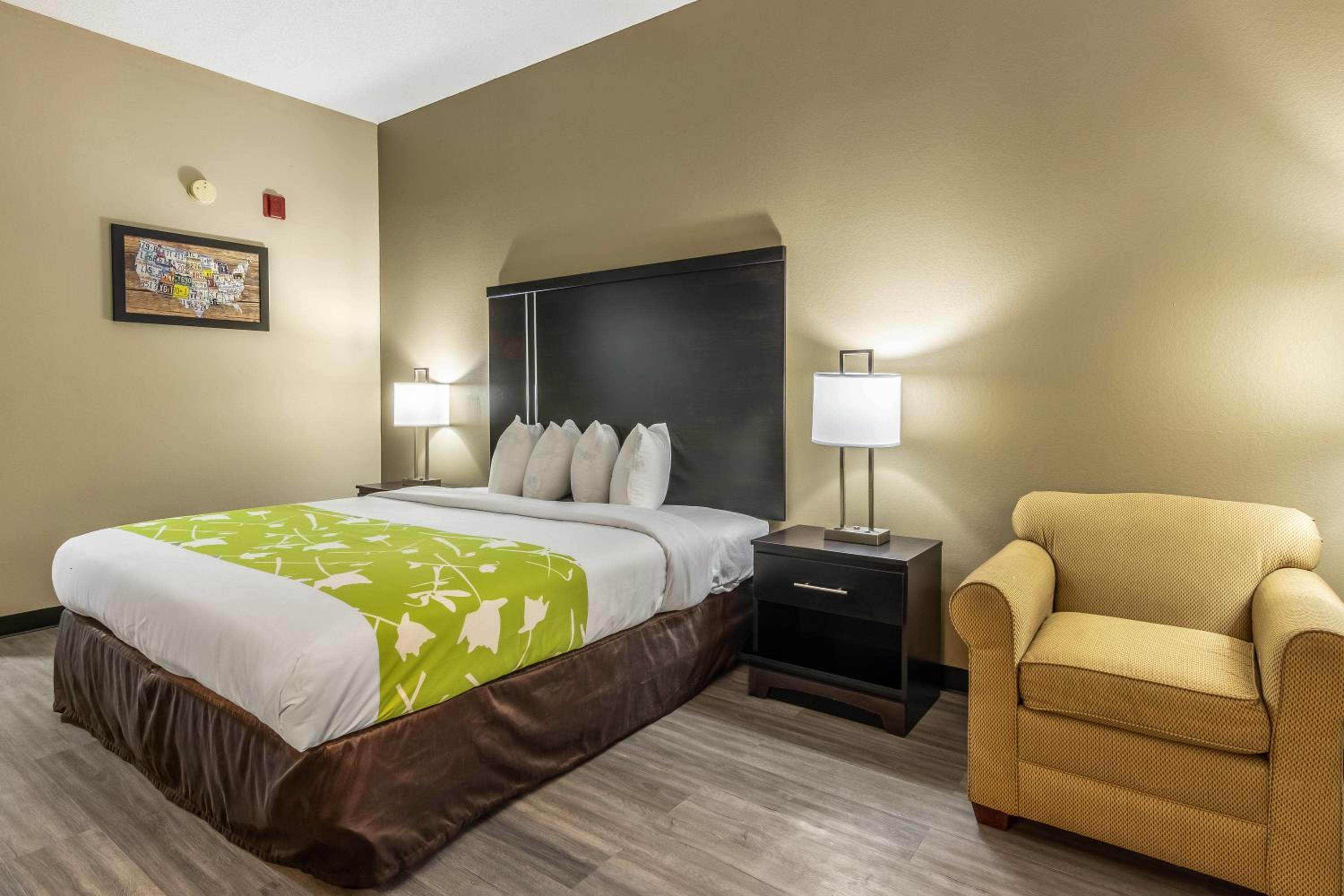 King Suite photo 1