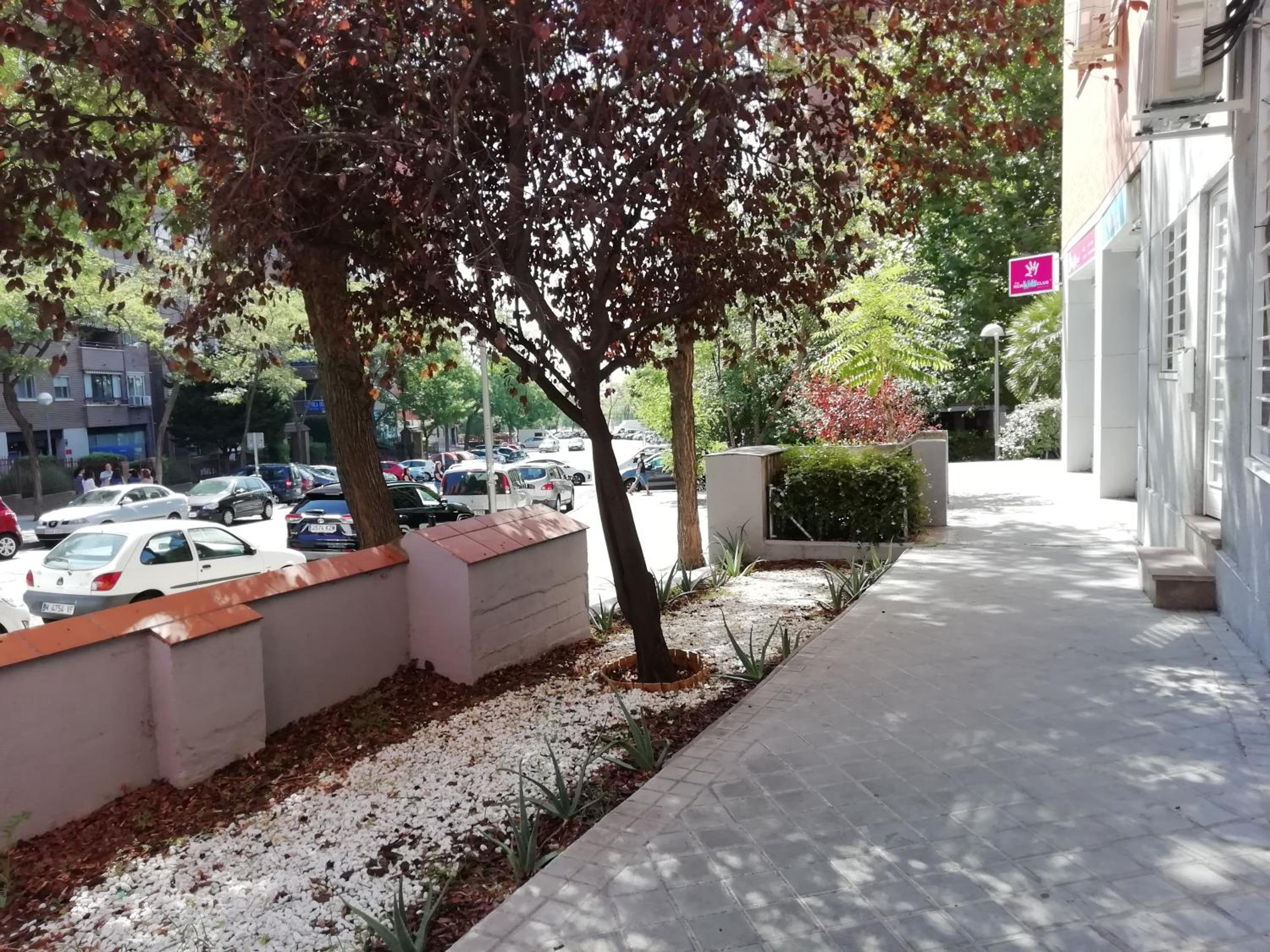Apartment - Photo 6