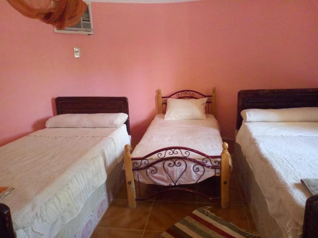 Basic Triple Room