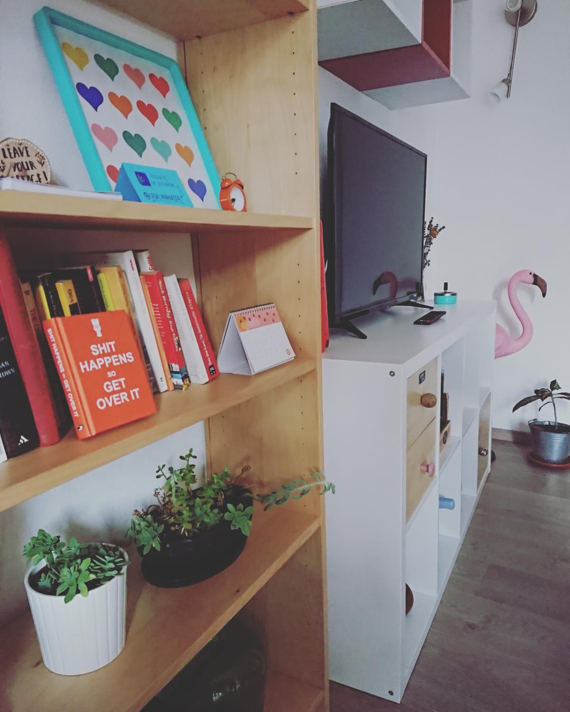 One-Bedroom Apartment photo 2