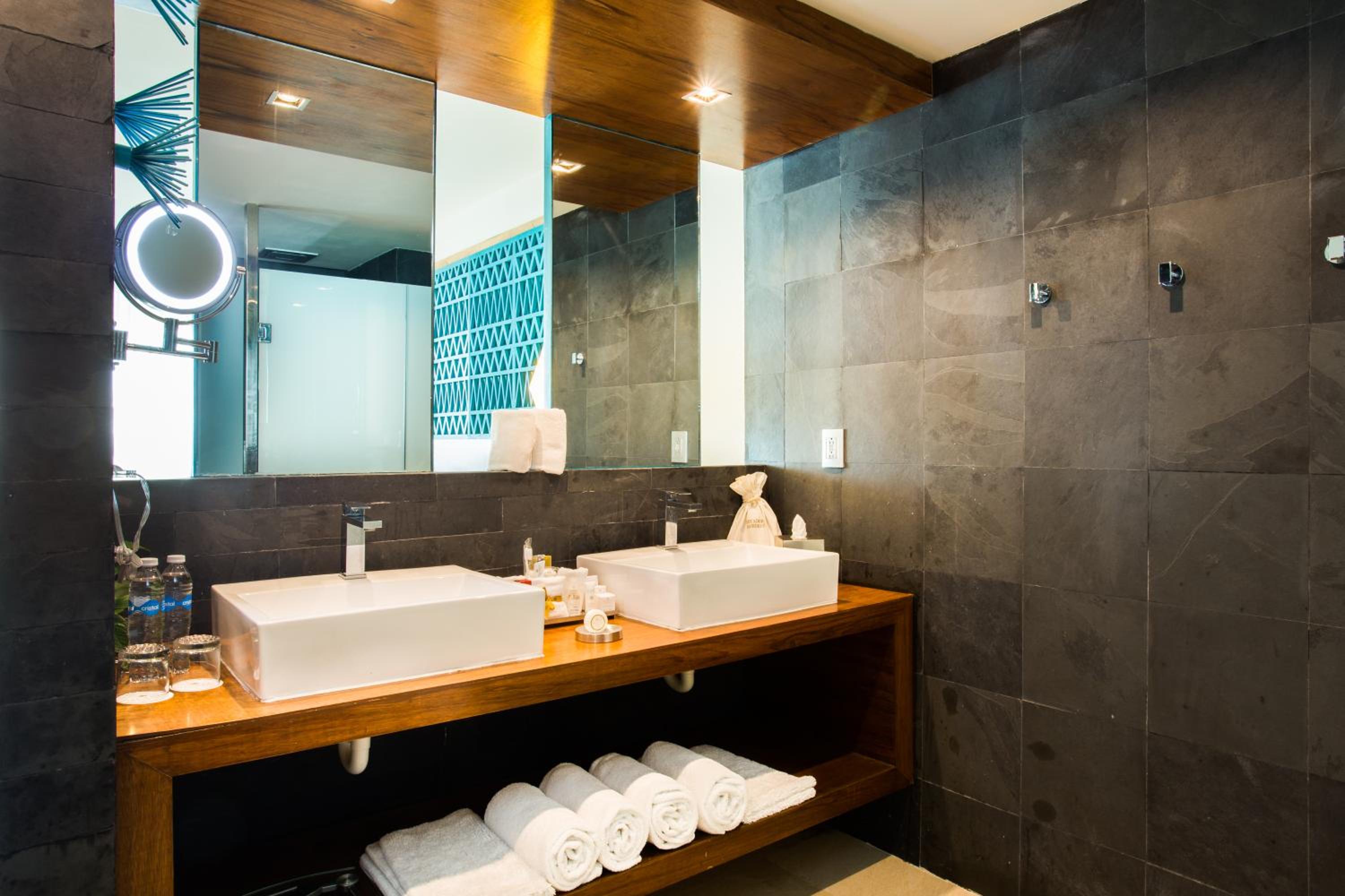 Preferred Club Junior Suite Ocean View Plunge Pool King