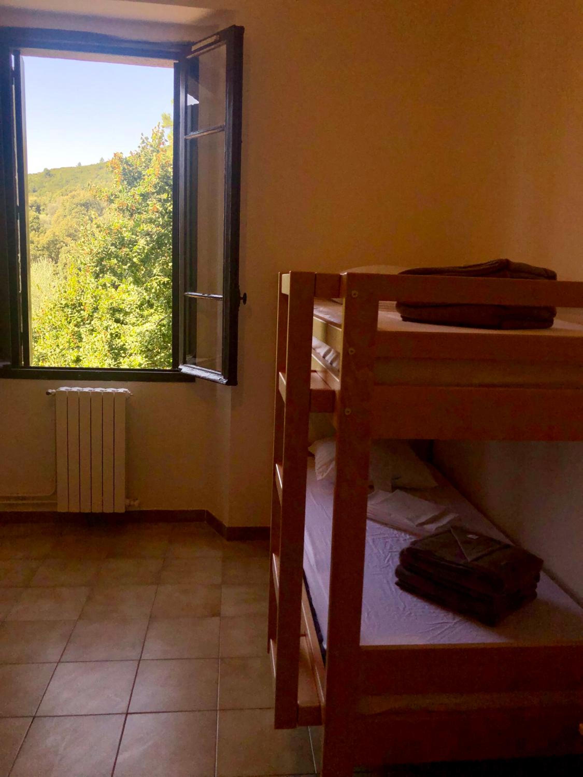 Single Bed in Mixed Dormitory Room photo 3