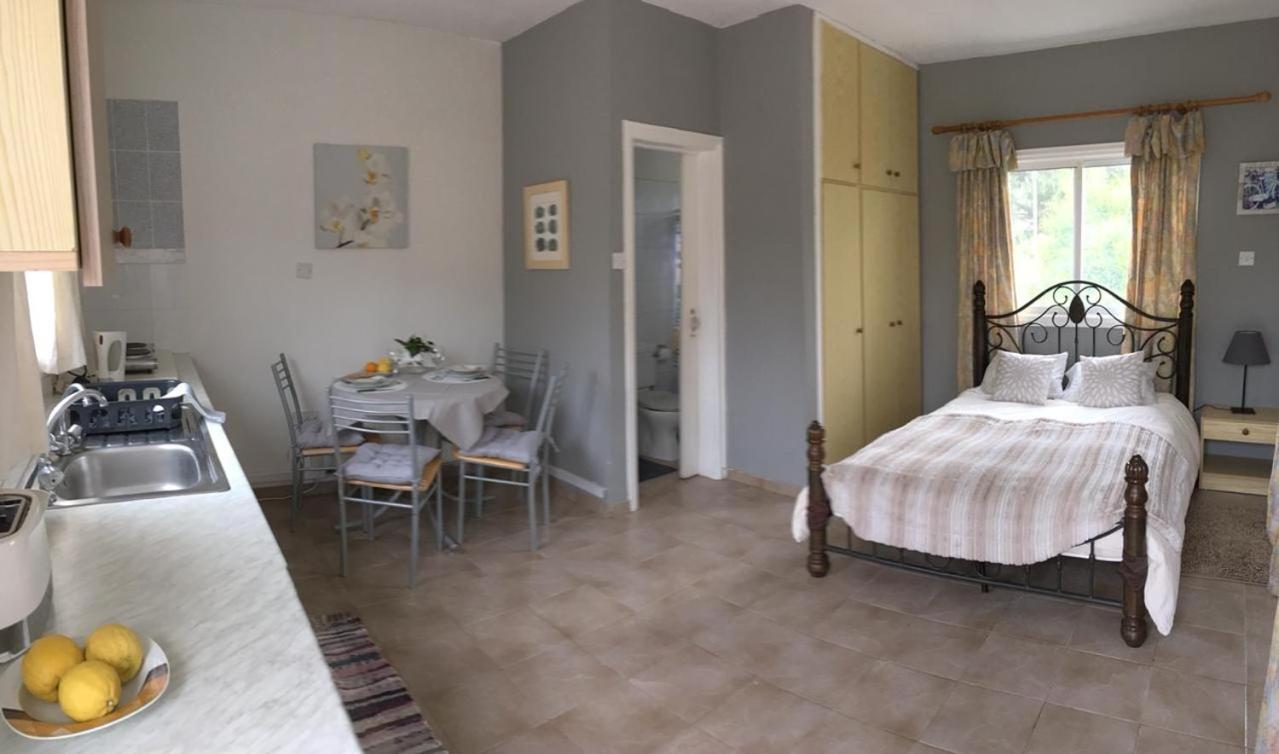 Studio Apartment - Photo 10