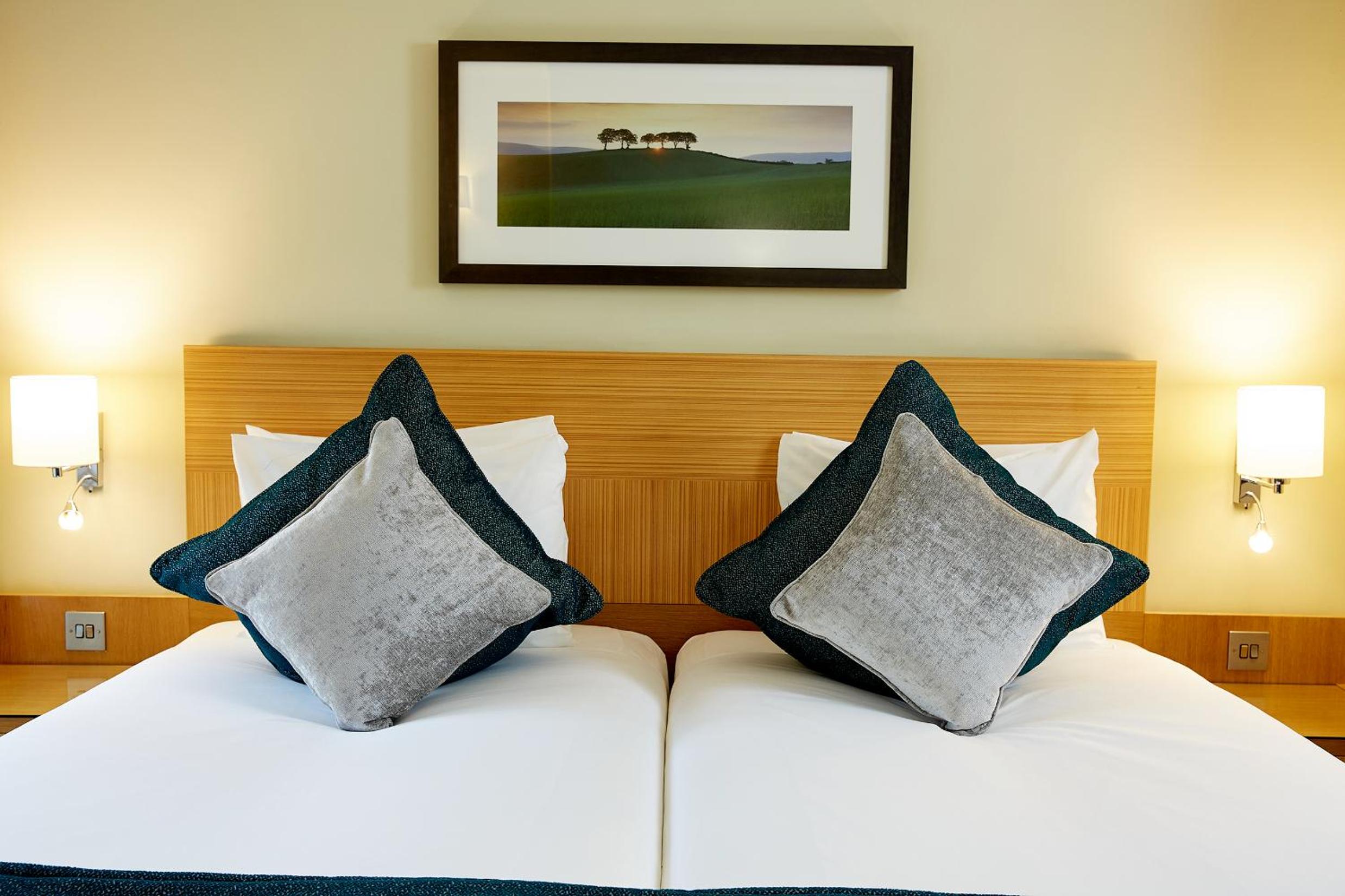 Executive Twin Room photo 2