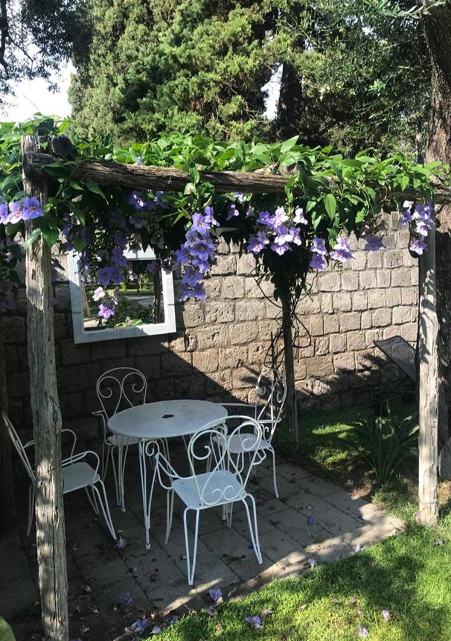 Junior Suite with Garden View - Photo 16