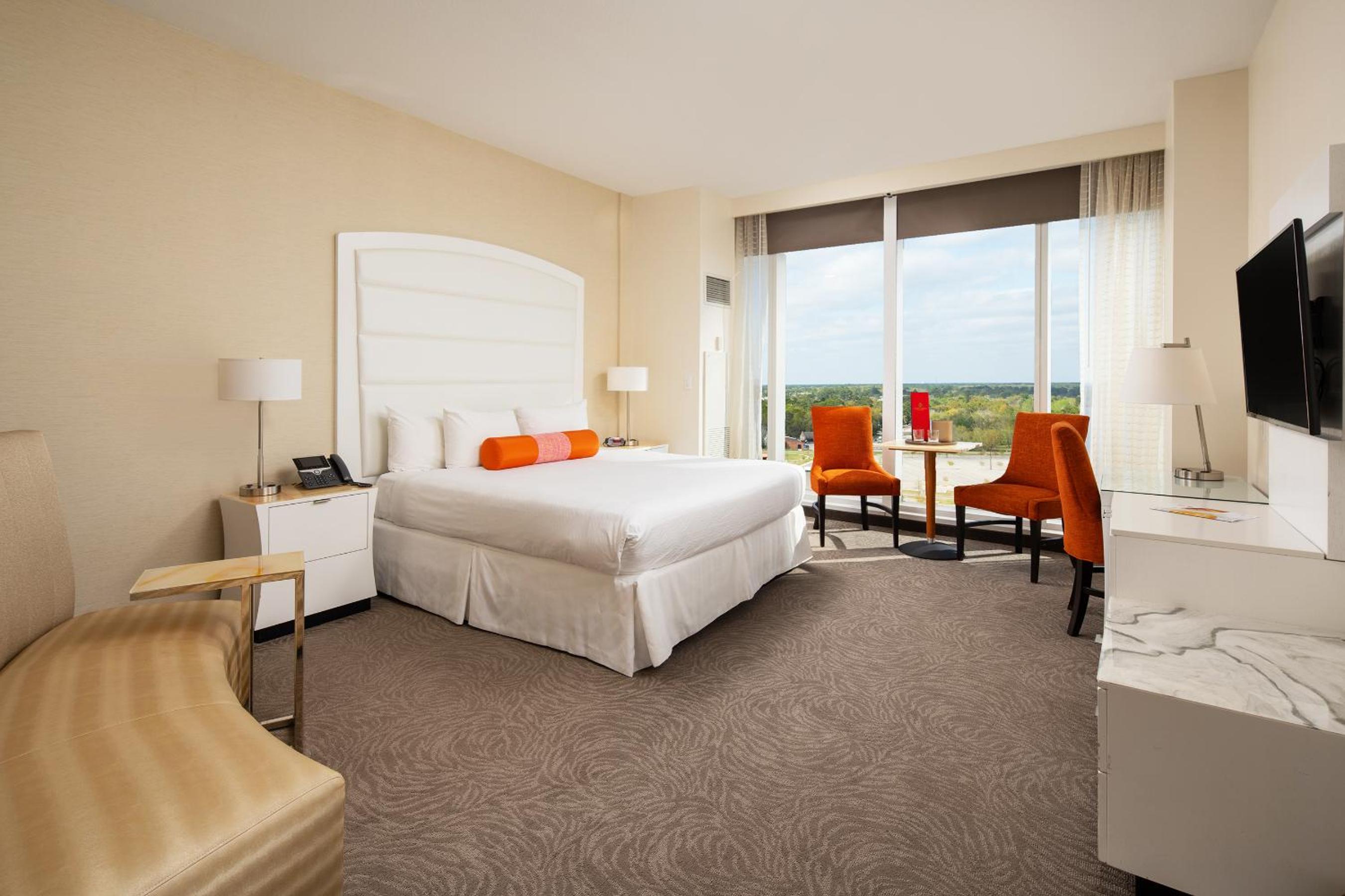 Luxury King Room photo 3