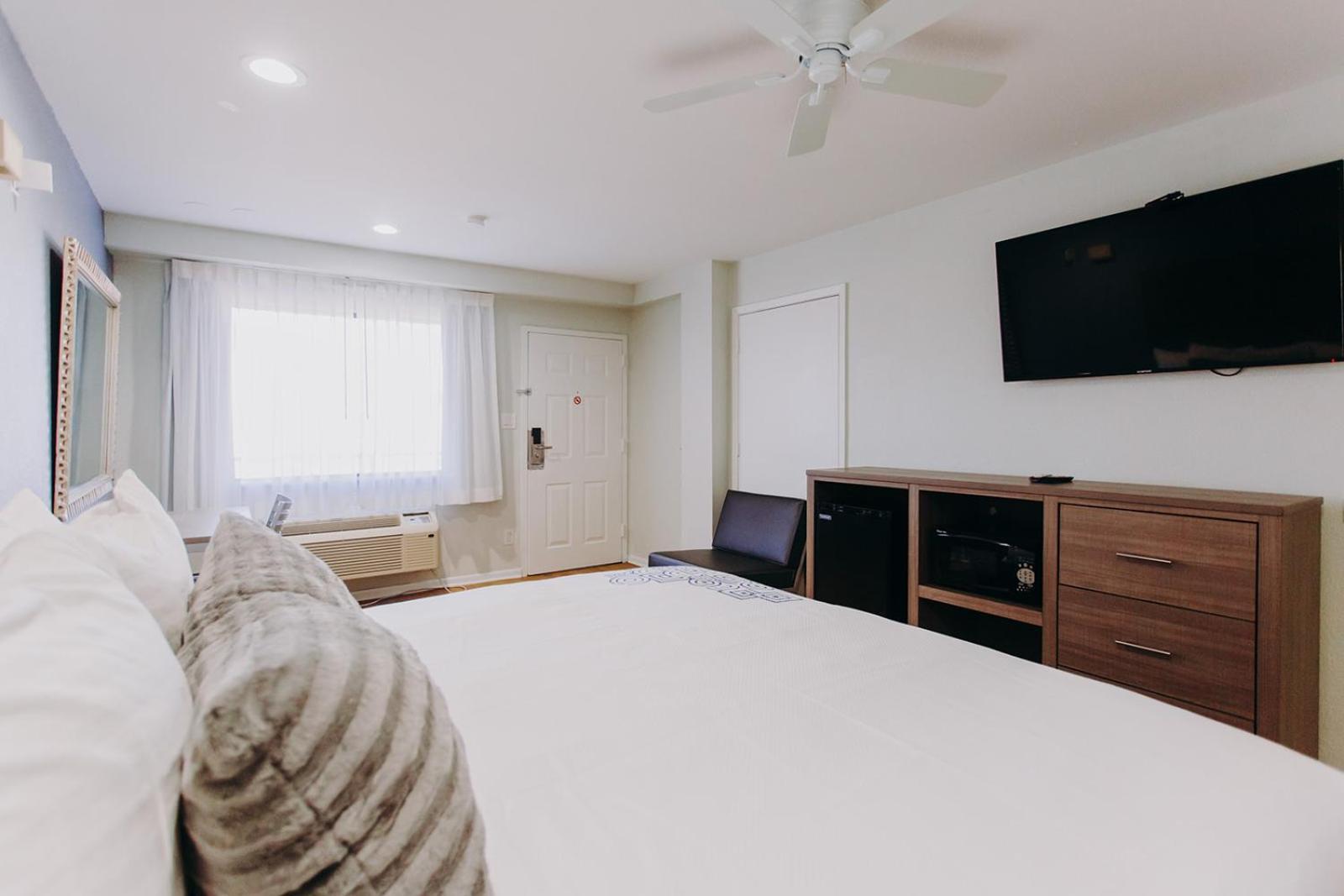 King Room photo 2