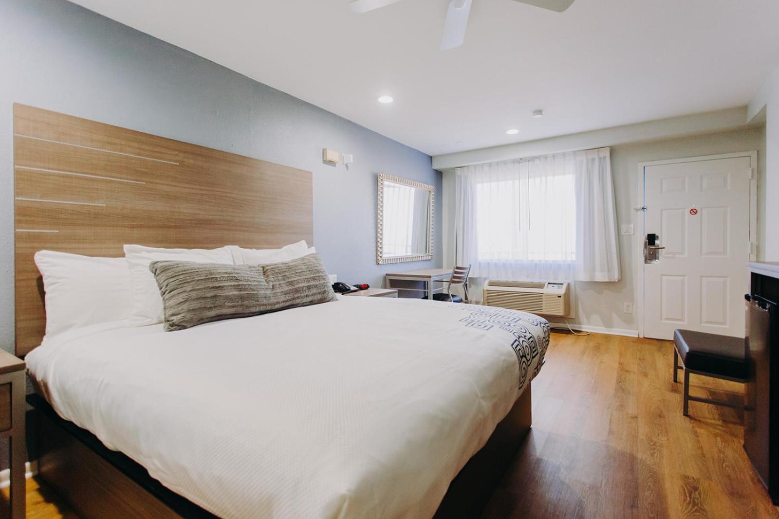King Room photo 1