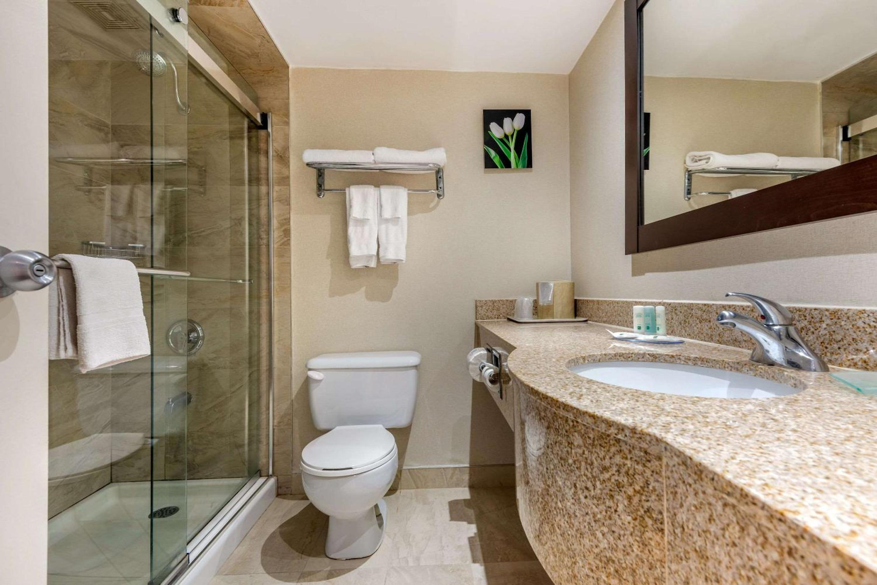 King Room - Non-Smoking - Photo 2