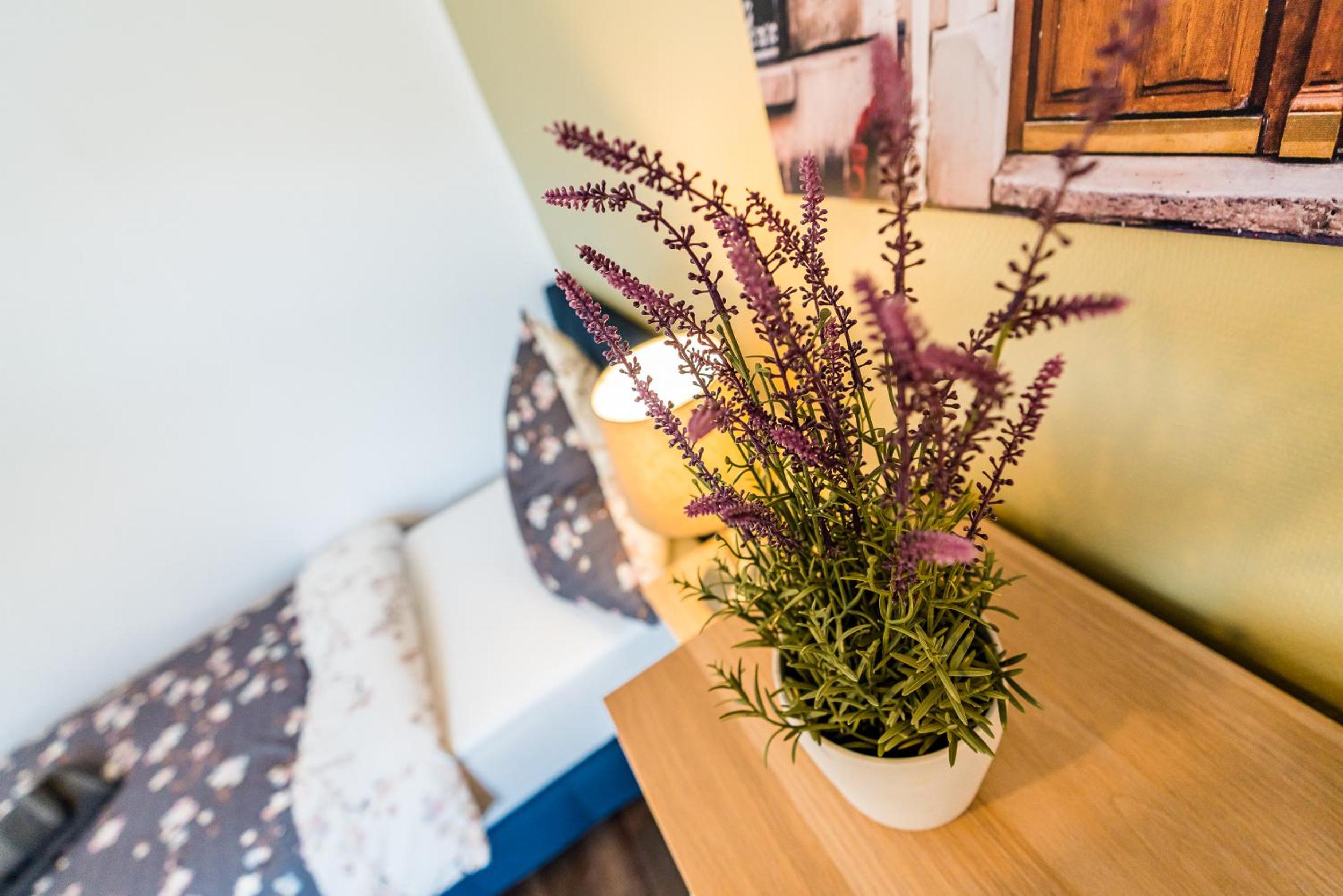 Two-Bedroom Apartment with Terrace photo 1