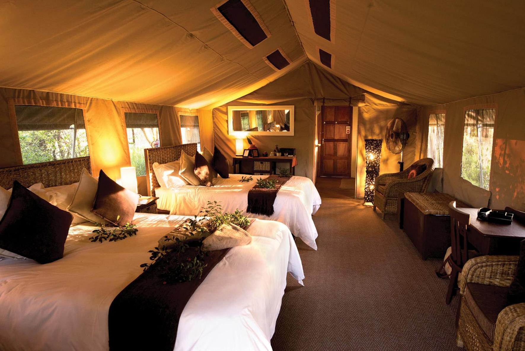 Family Safari Tent (FS8) photo 1