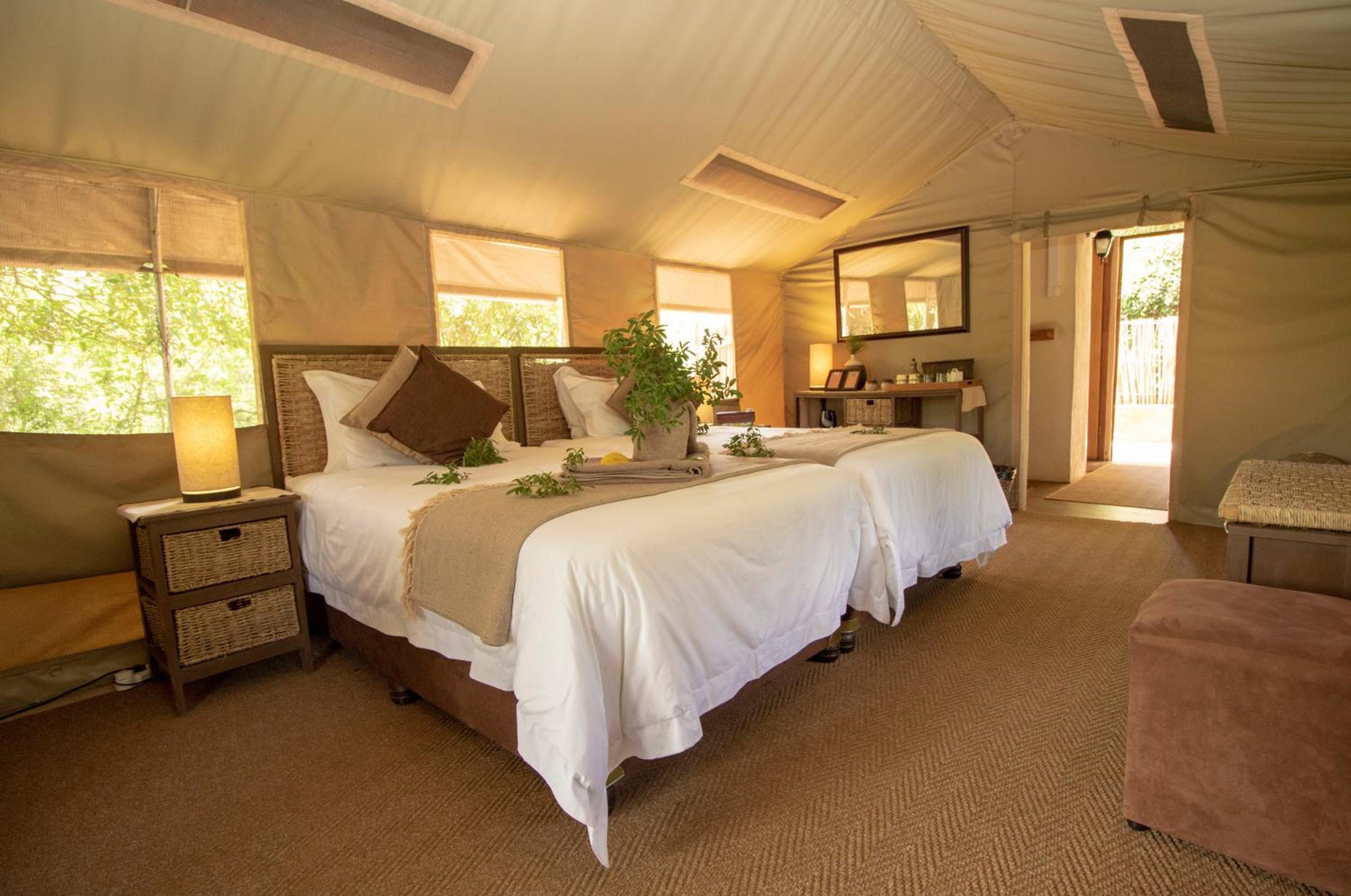 Twin Safari Tent (TS12) photo 1