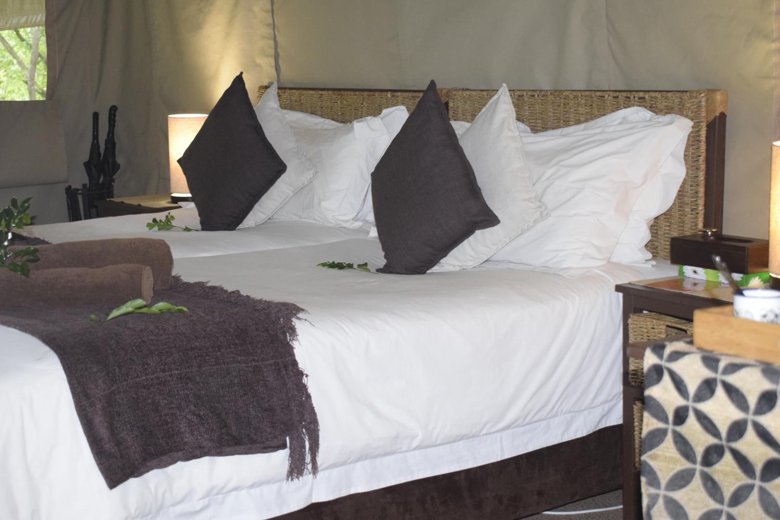 Twin Safari Tent (TS11) photo 3