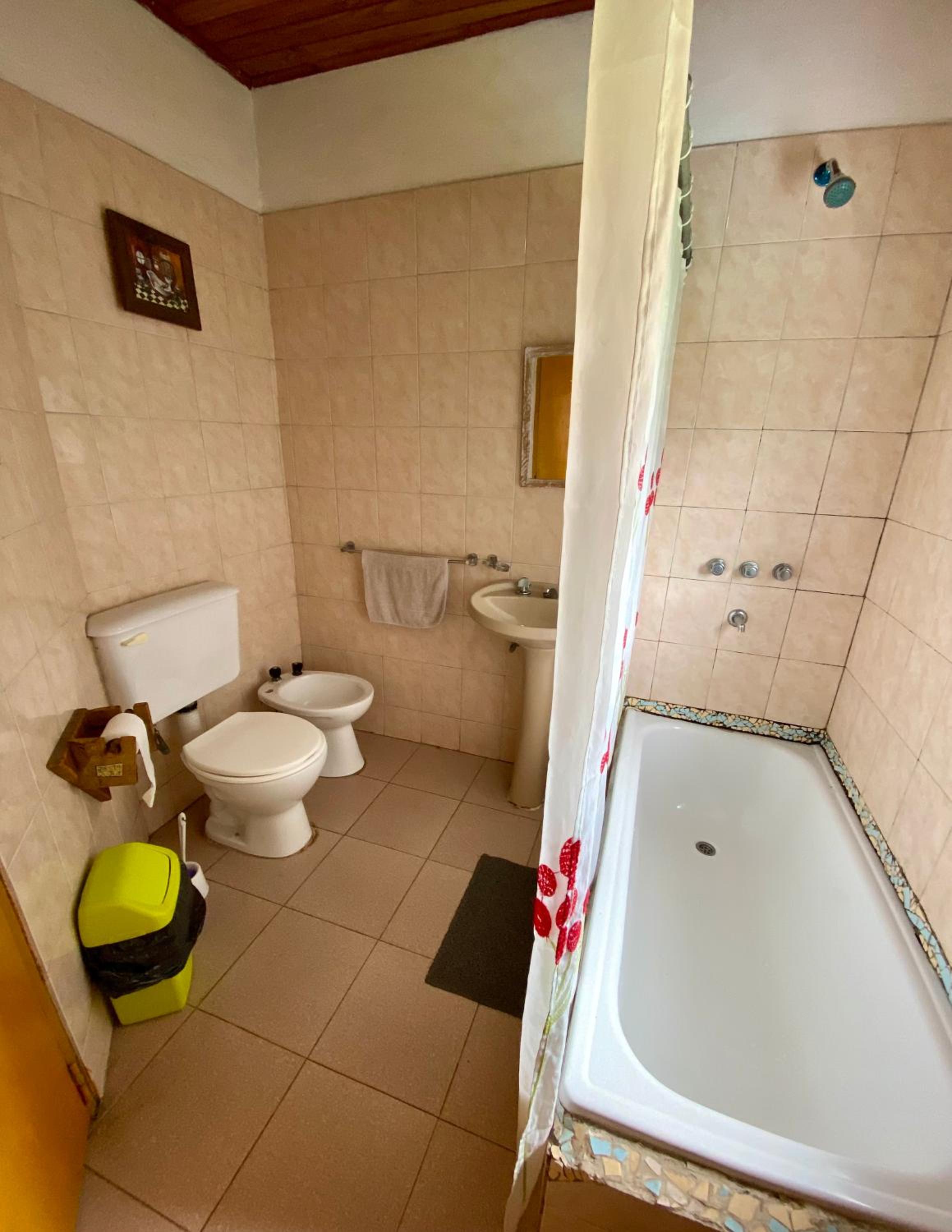 Single Bed in Dormitory Room photo 1