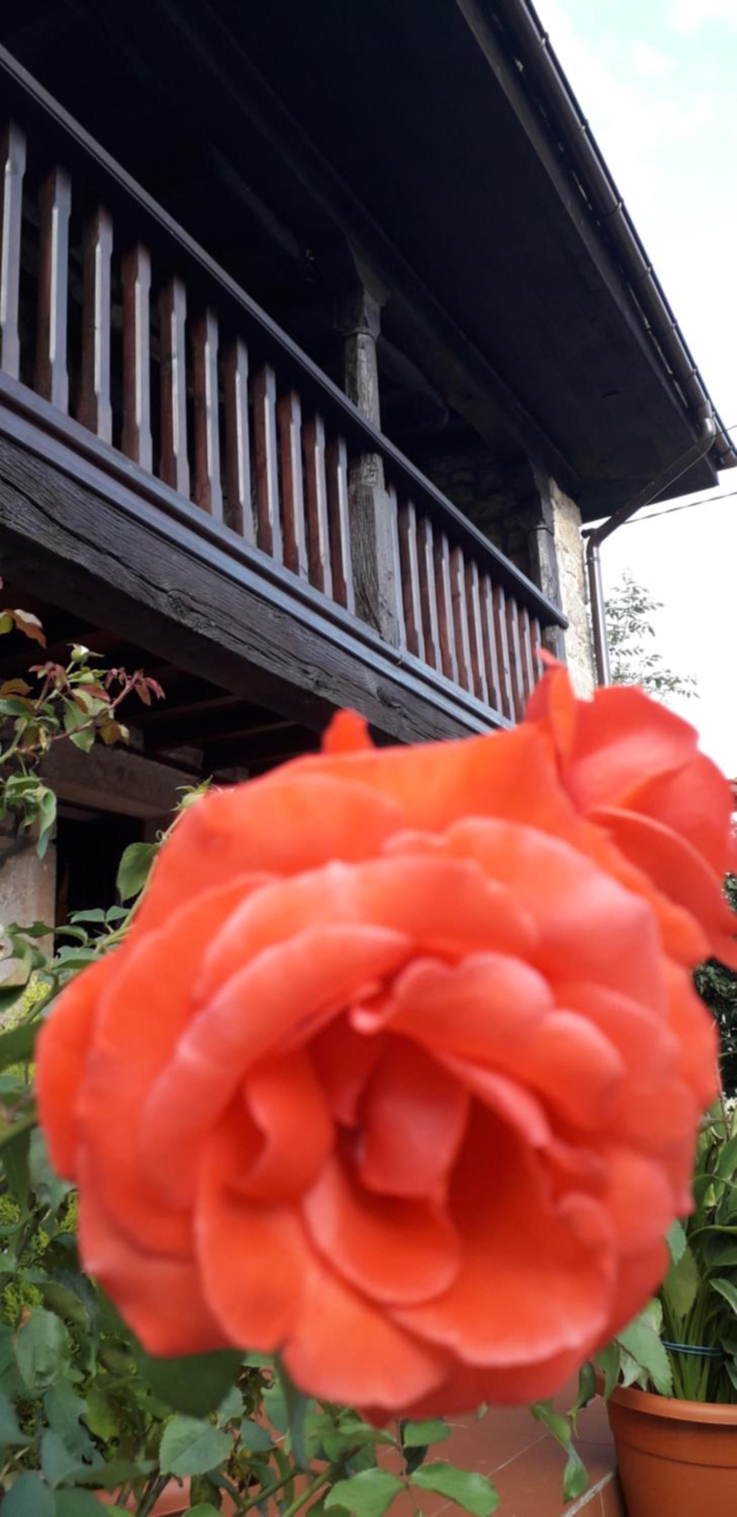 Vacation Home - Photo 47