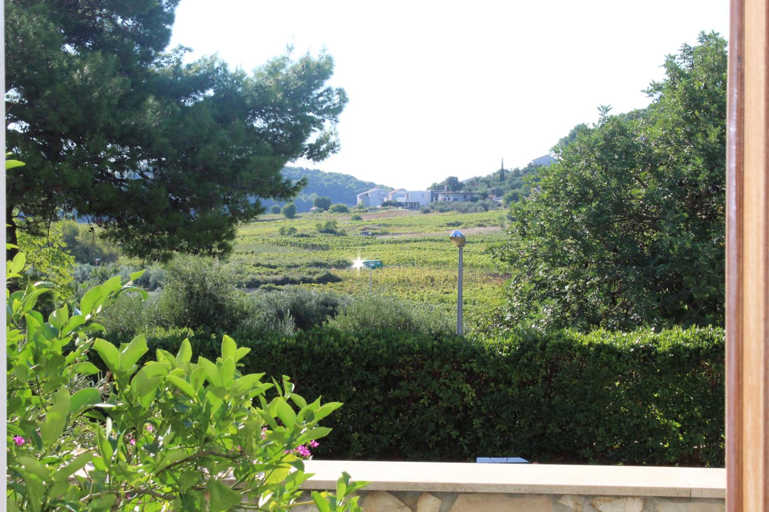Apartment - Photo 24