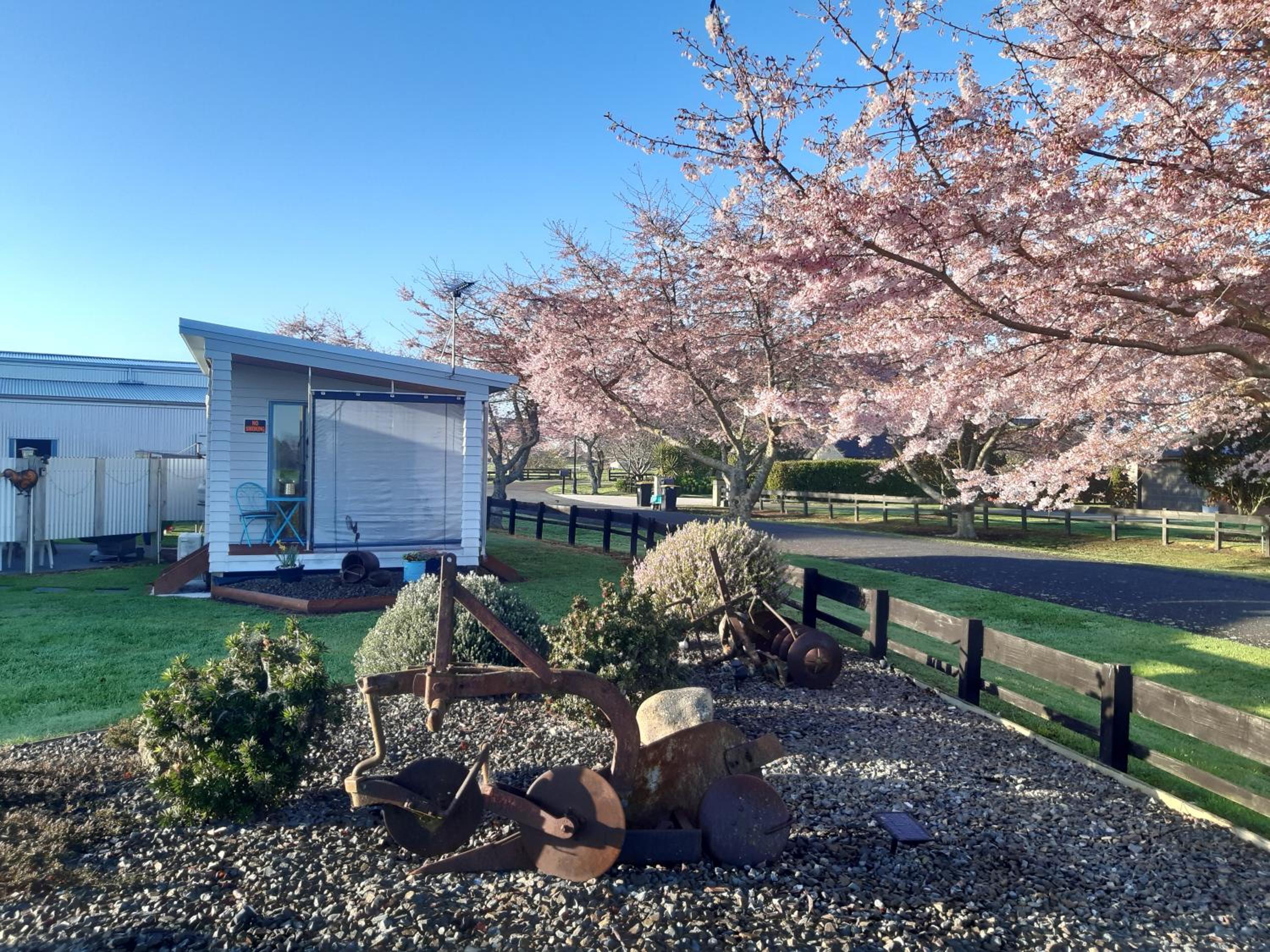 Double Room with Patio