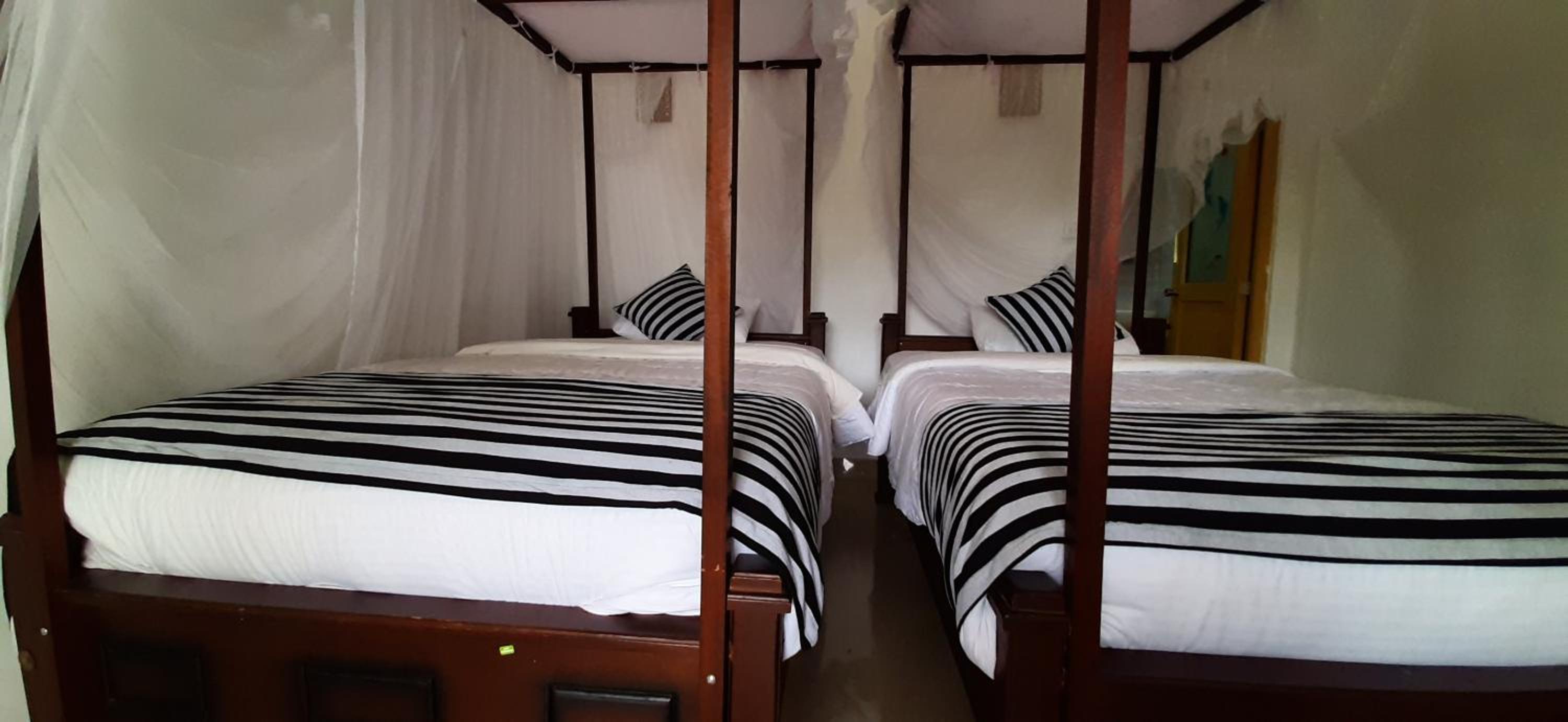 Triple Room with Mountain View