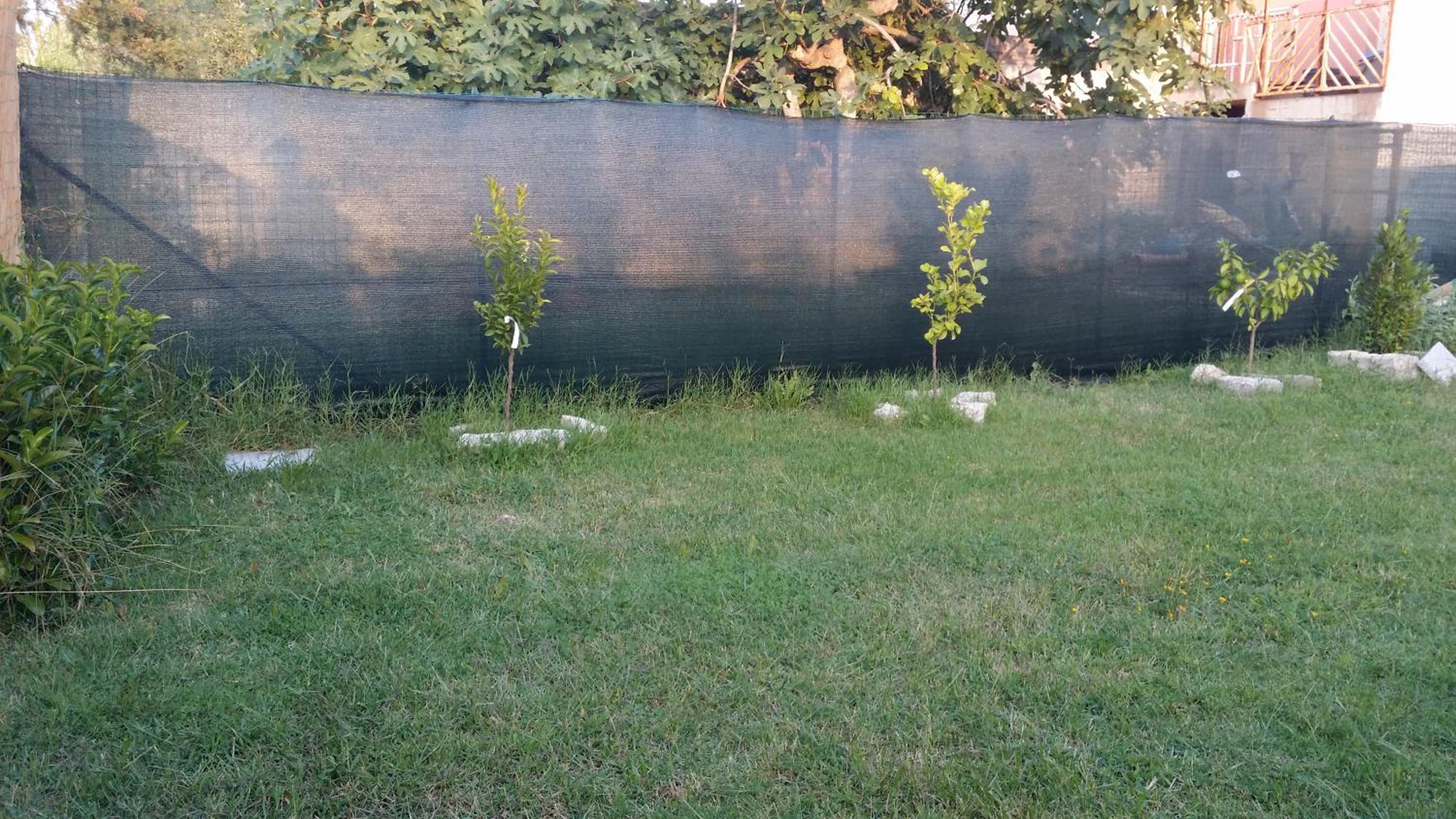 Apartment with Garden View - Photo 39