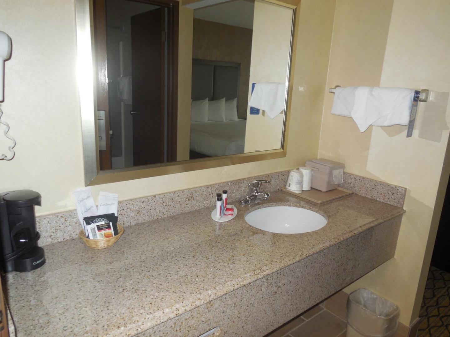 One-Bedroom King Suite - Non-Smoking - Photo 6